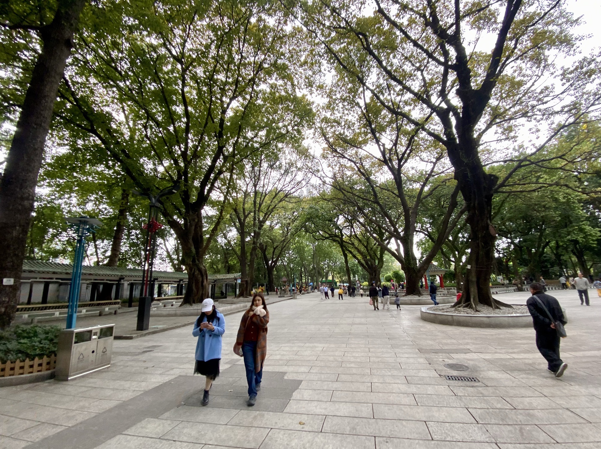中山公园旅行图片 3