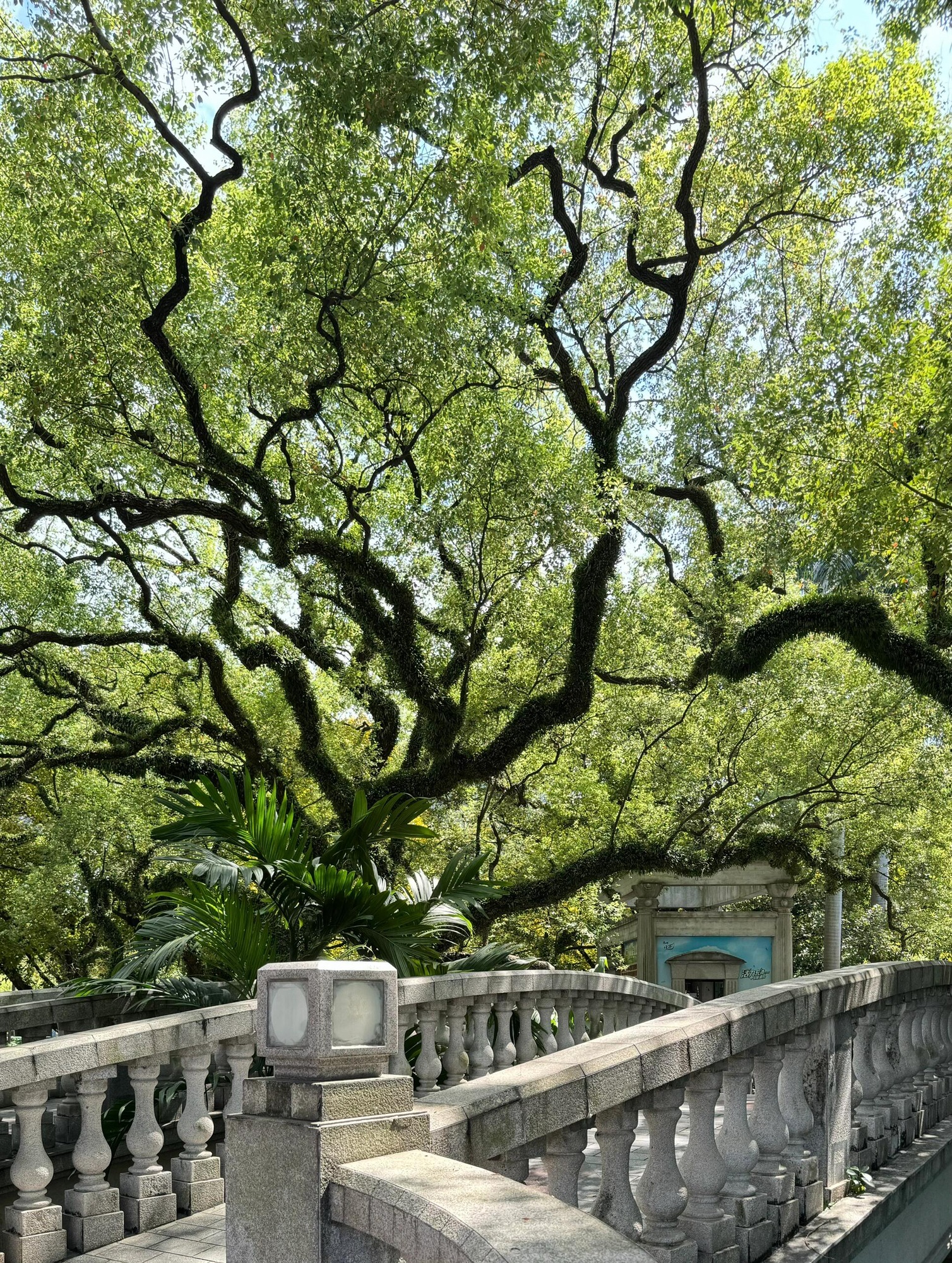 中山公园旅行图片 1