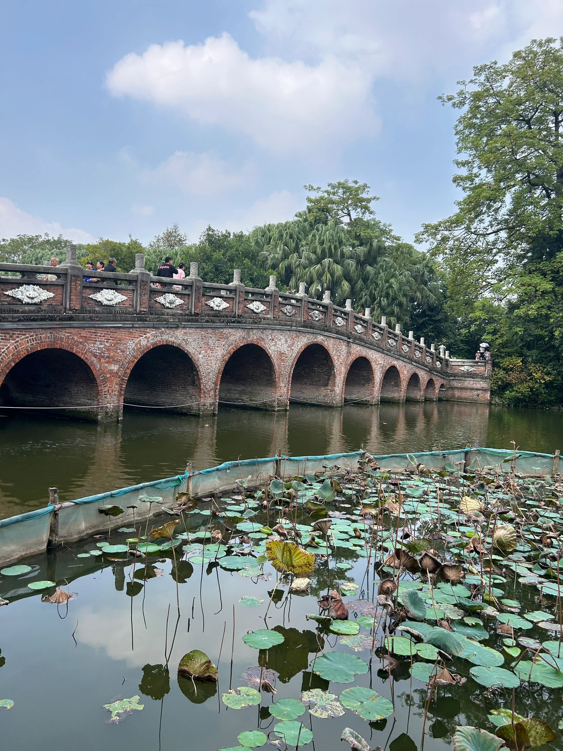 中山公园旅行图片 2