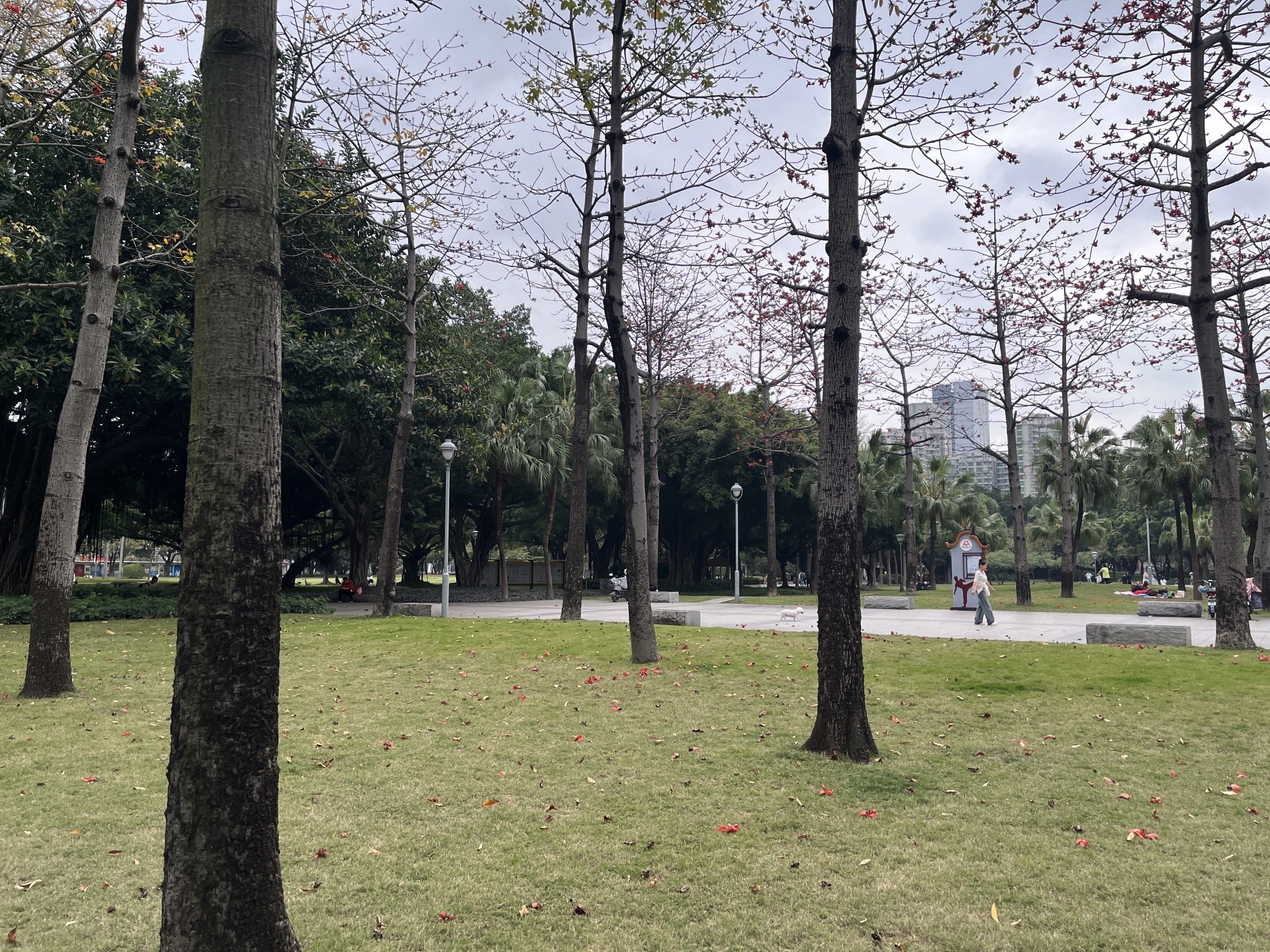季华园旅行图片 2