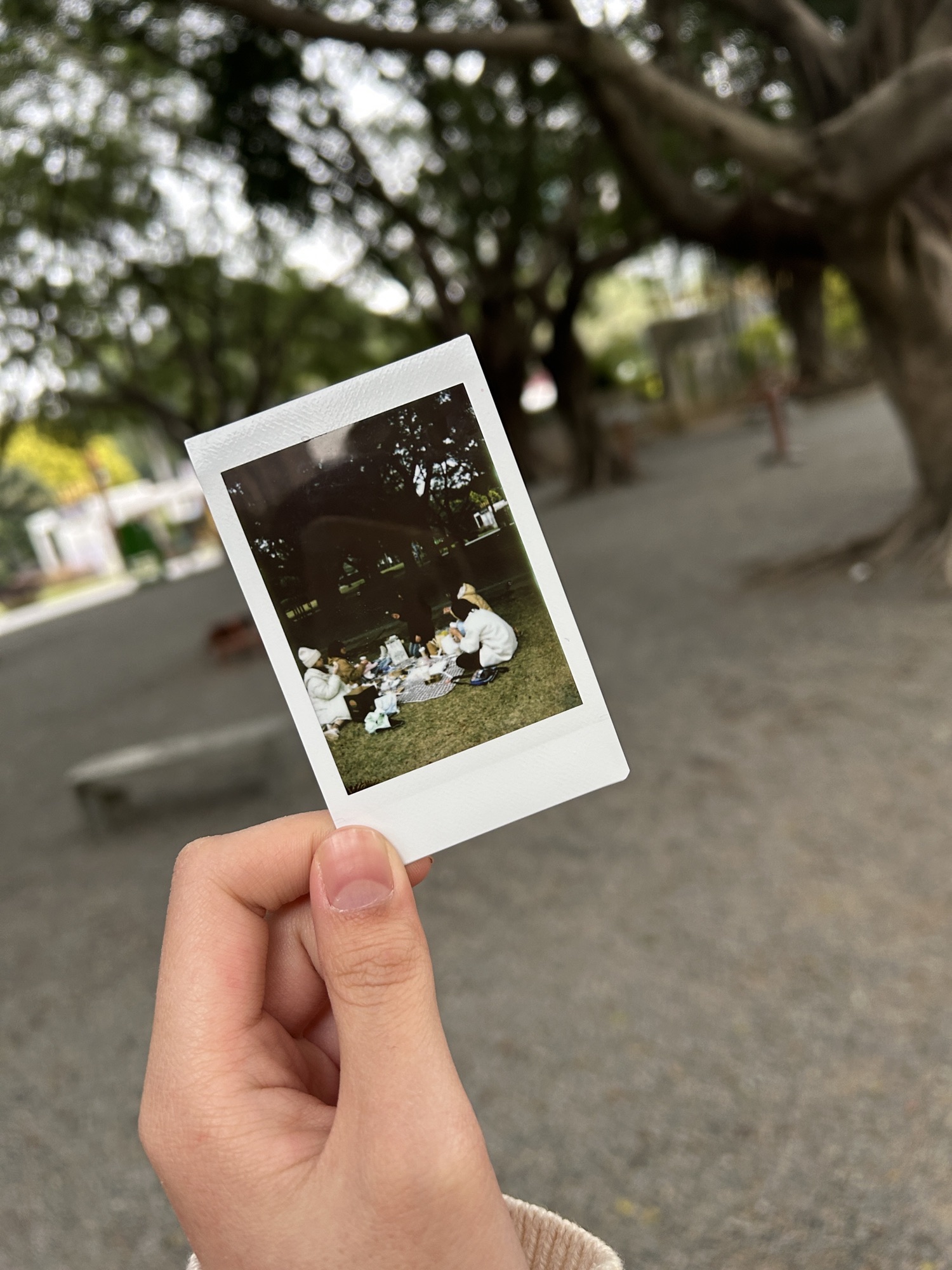 季华园旅行图片 3