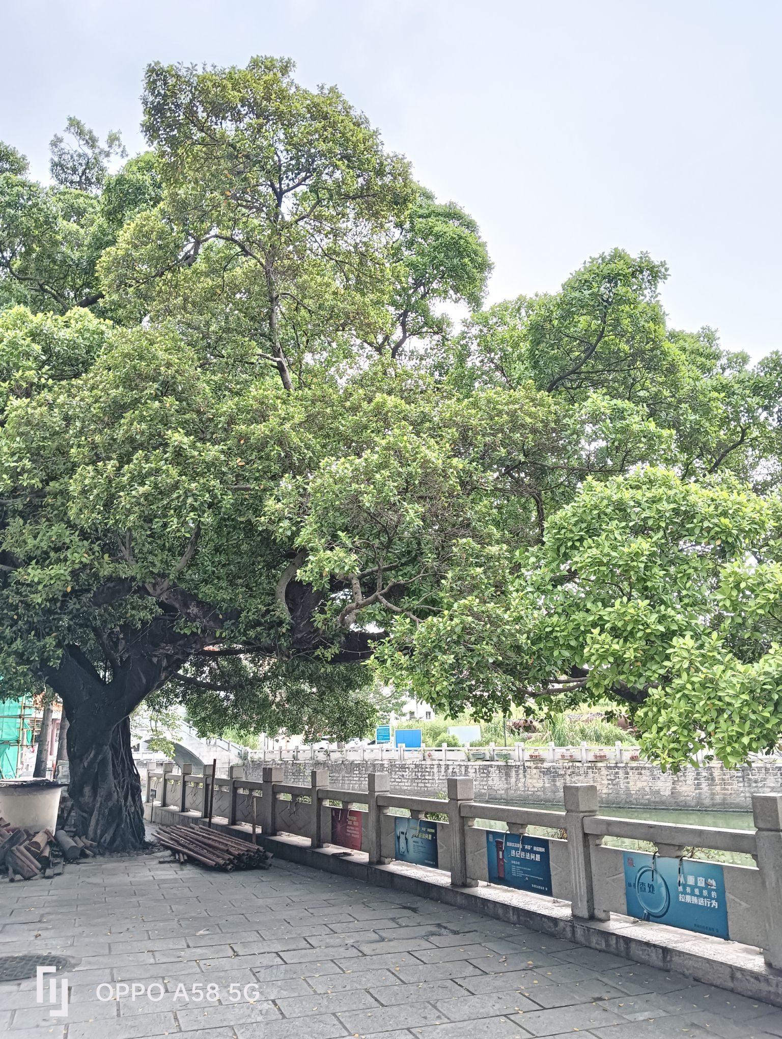文昌塔旅行图片 2