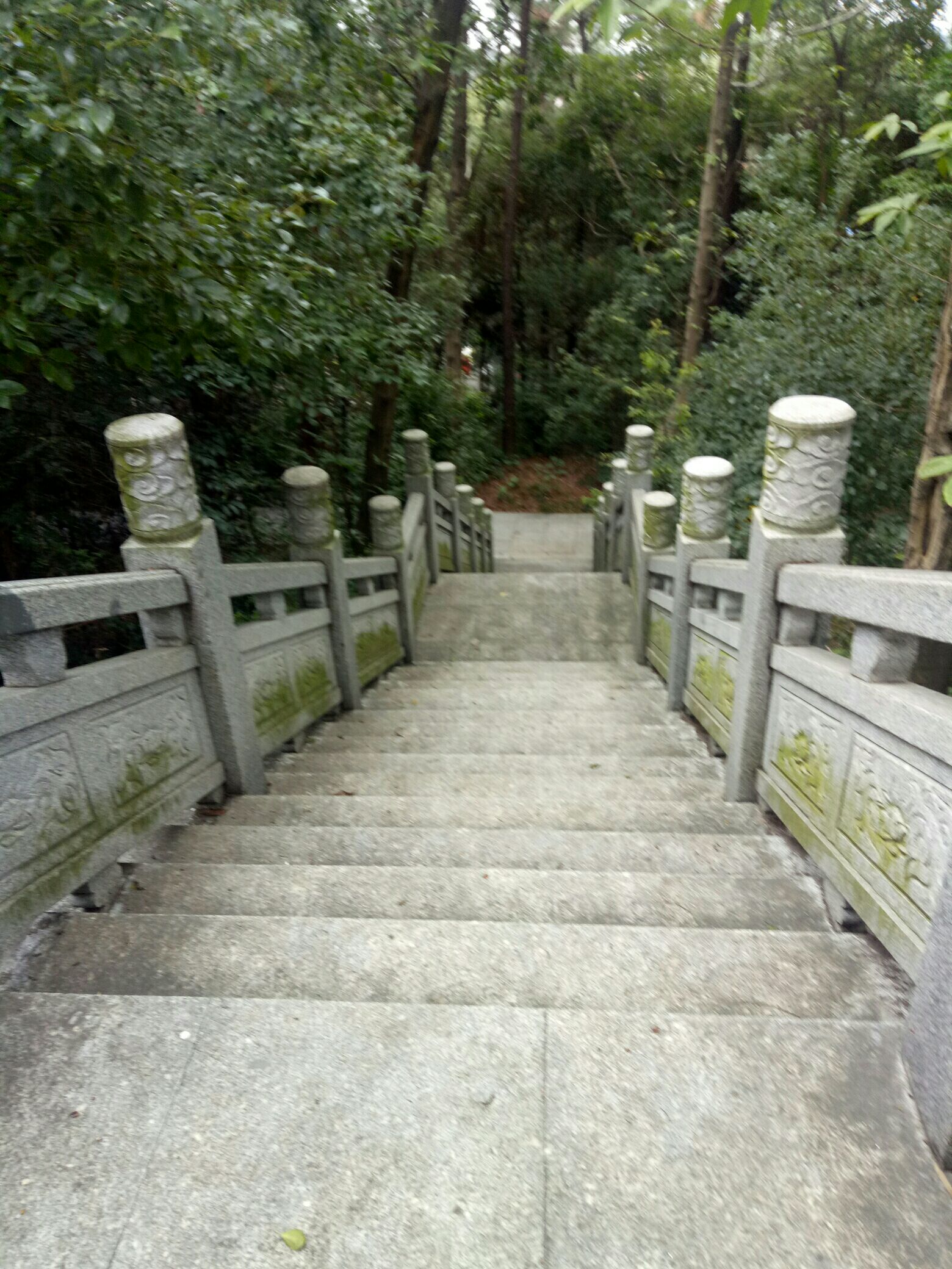 朝山公园旅行图片 2