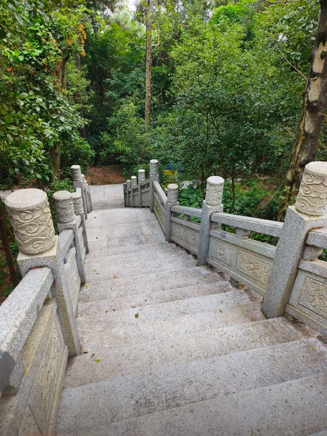 朝山公园旅行图片 1