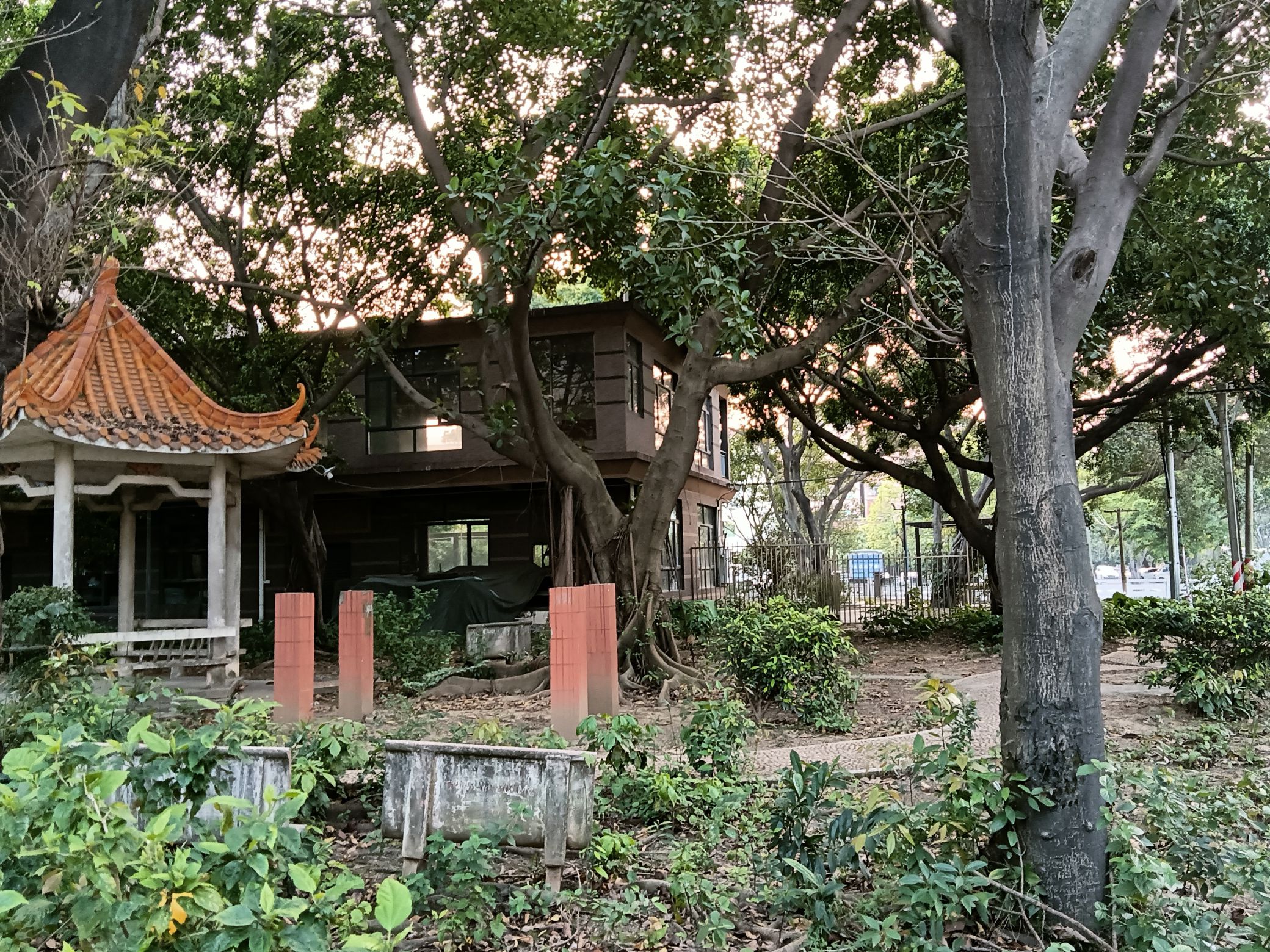东兴公园旅行图片 2
