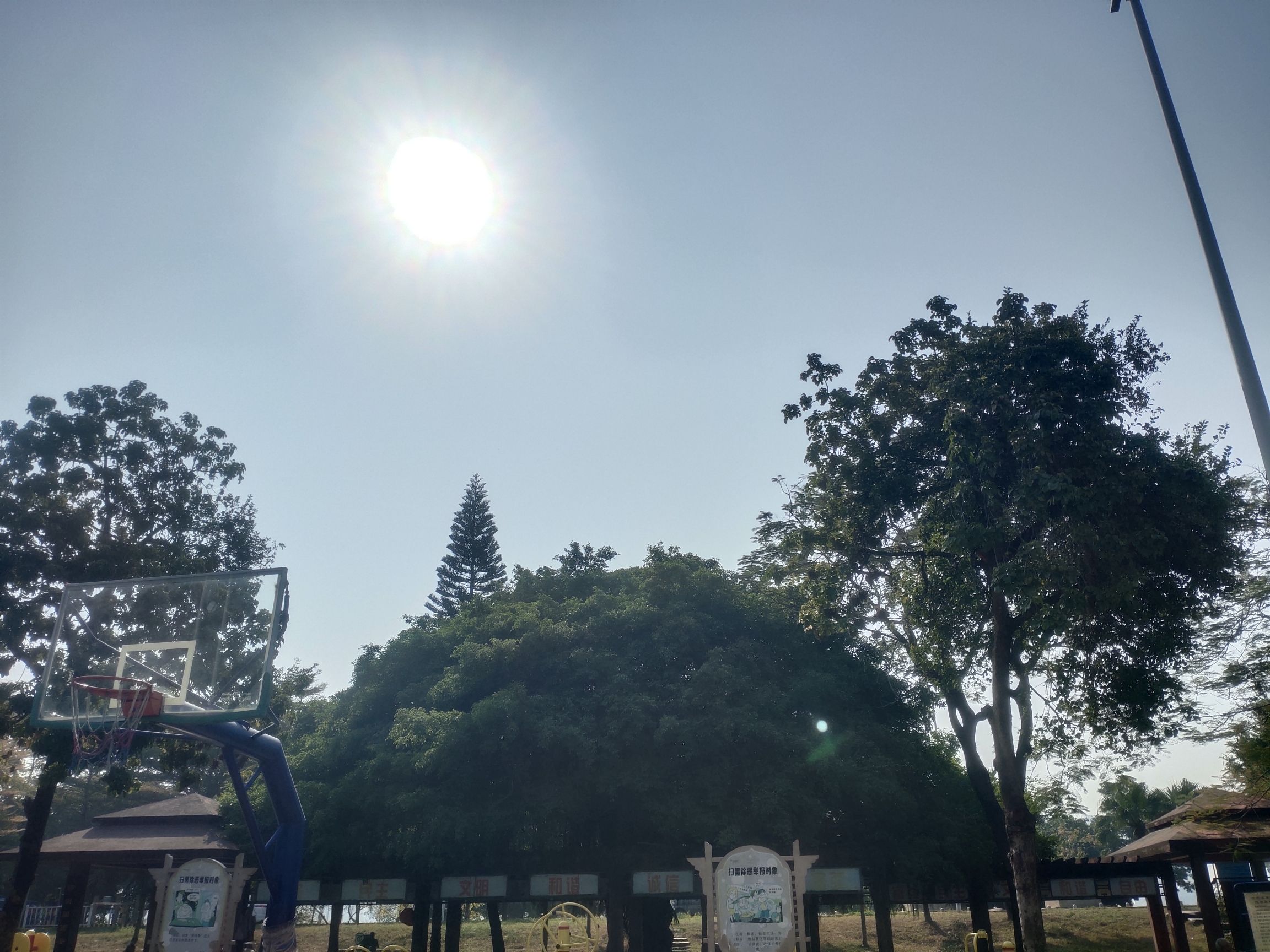 三洪奇公园旅行图片 2