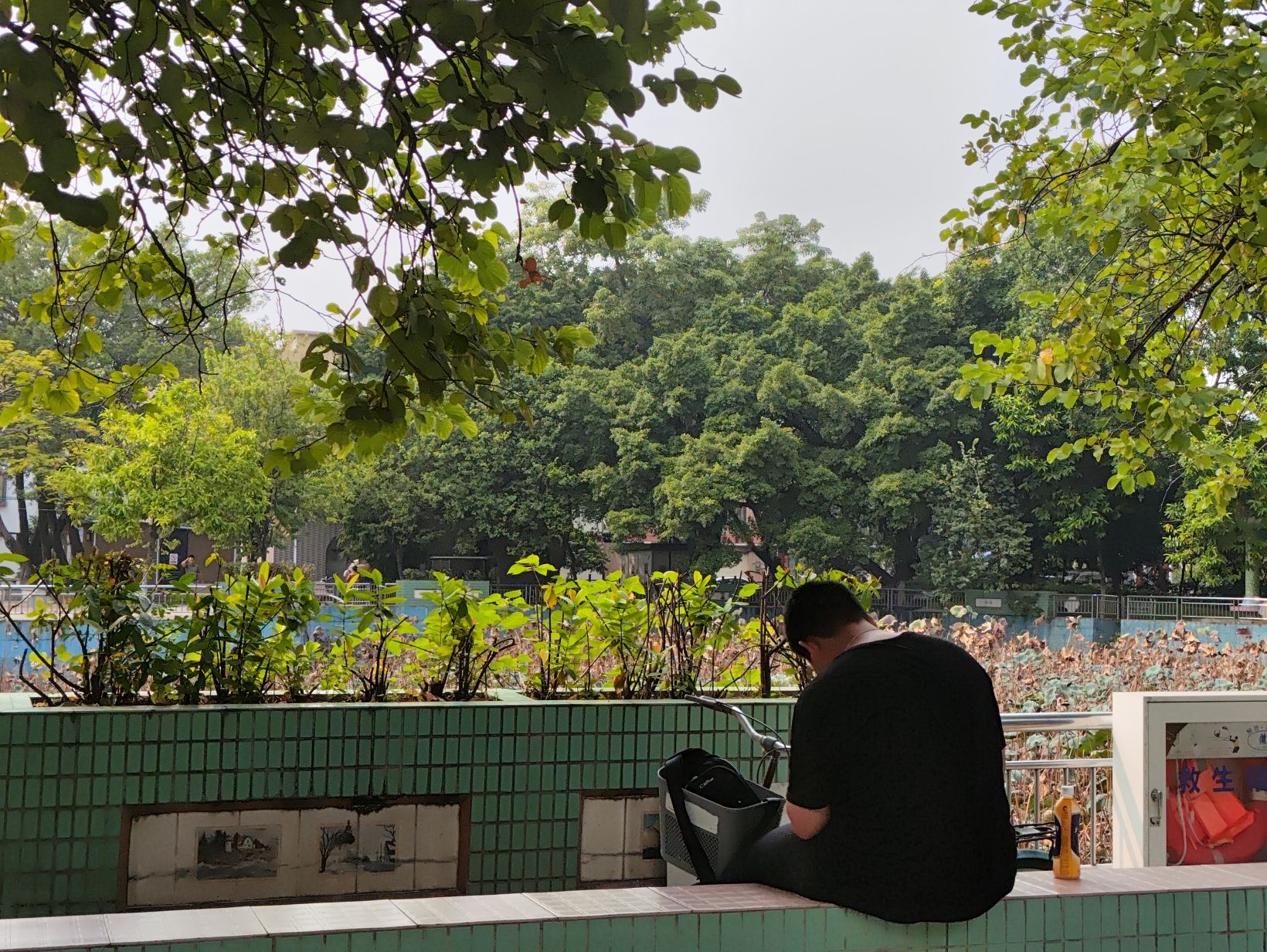 羊额公园旅行图片 3