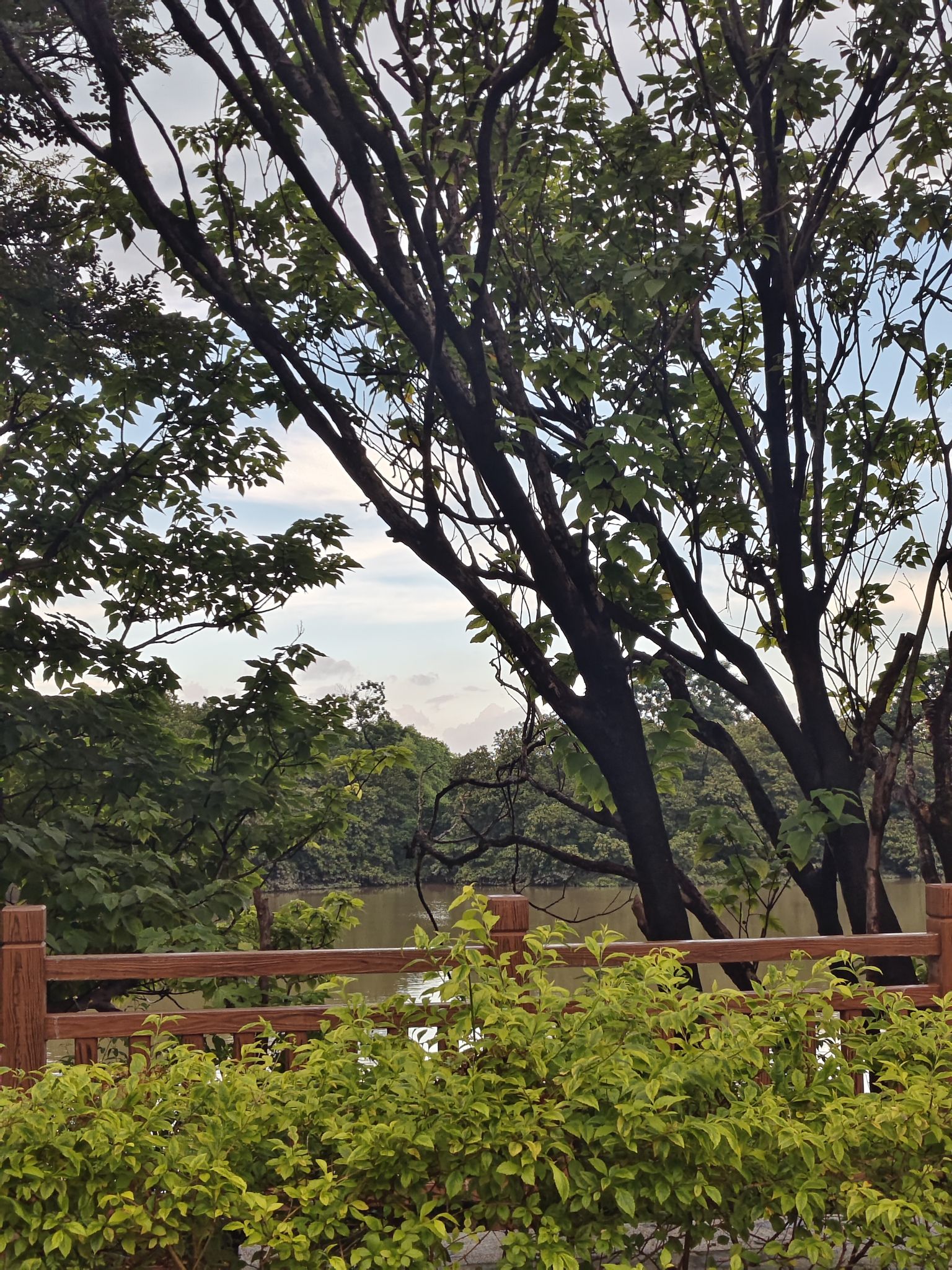 亚洲艺术公园旅行图片 1