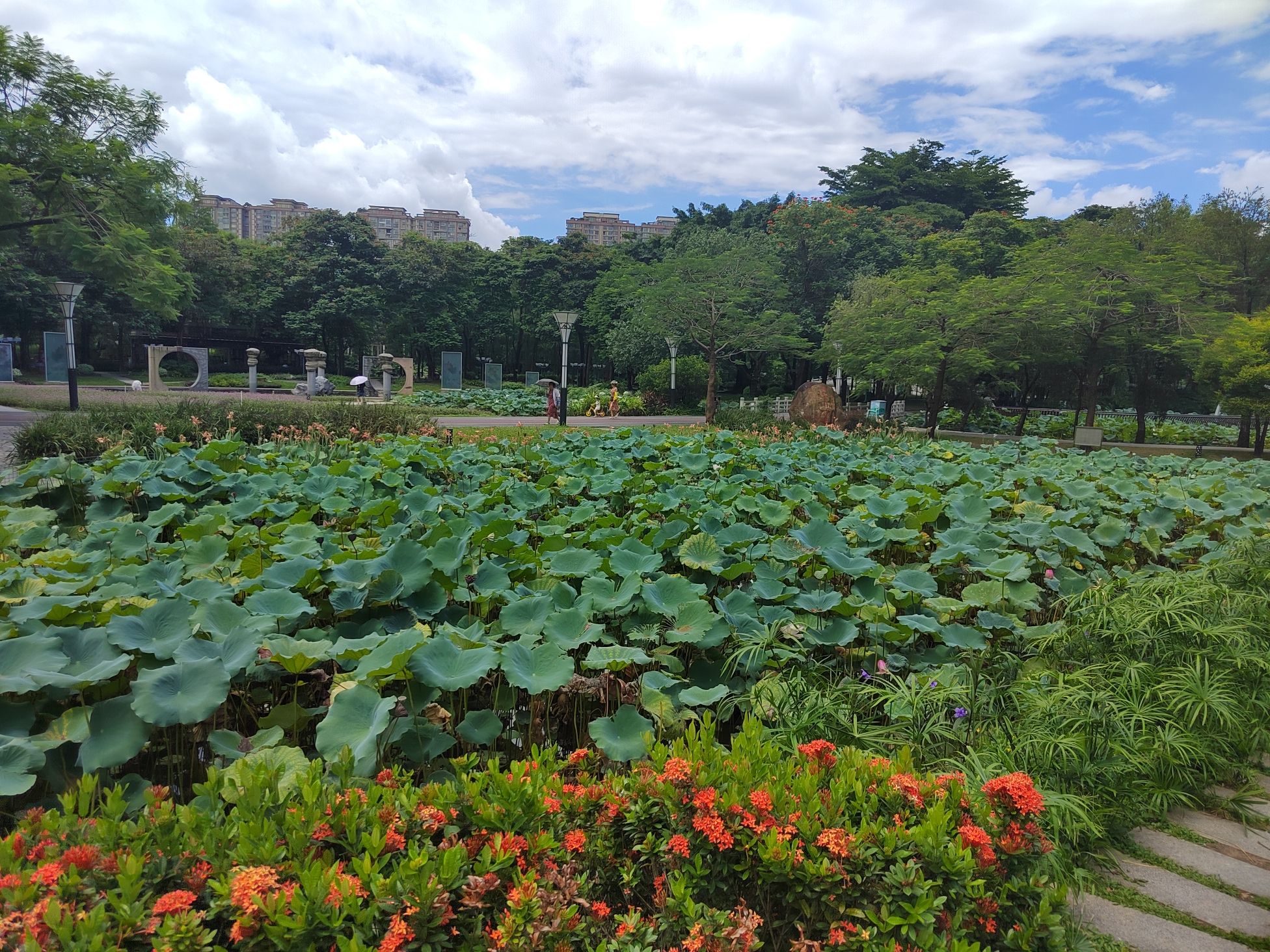 亚洲艺术公园旅行图片 3