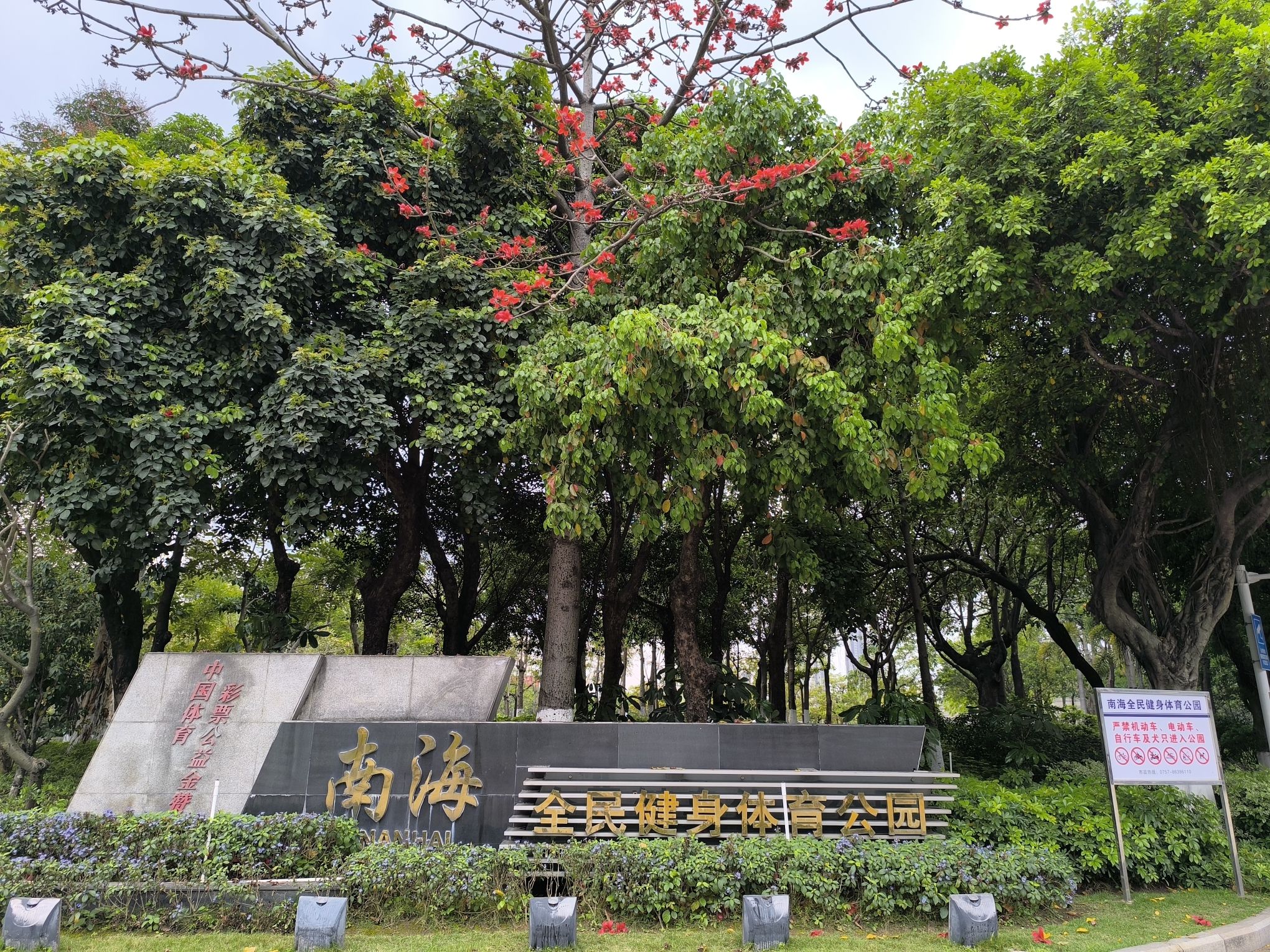 南海全民健身体育公园旅行图片 1