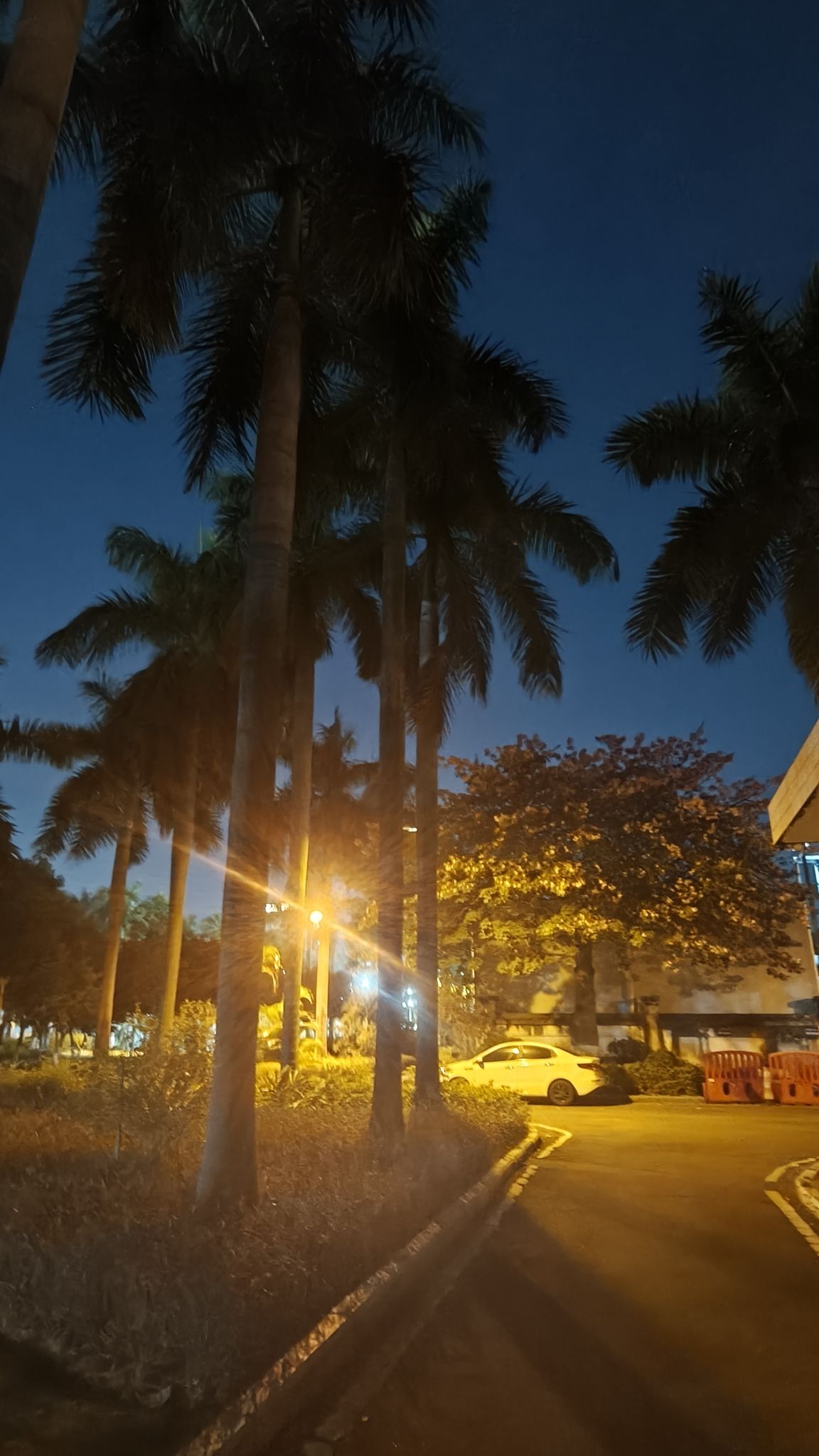 南海全民健身体育公园旅行图片 2