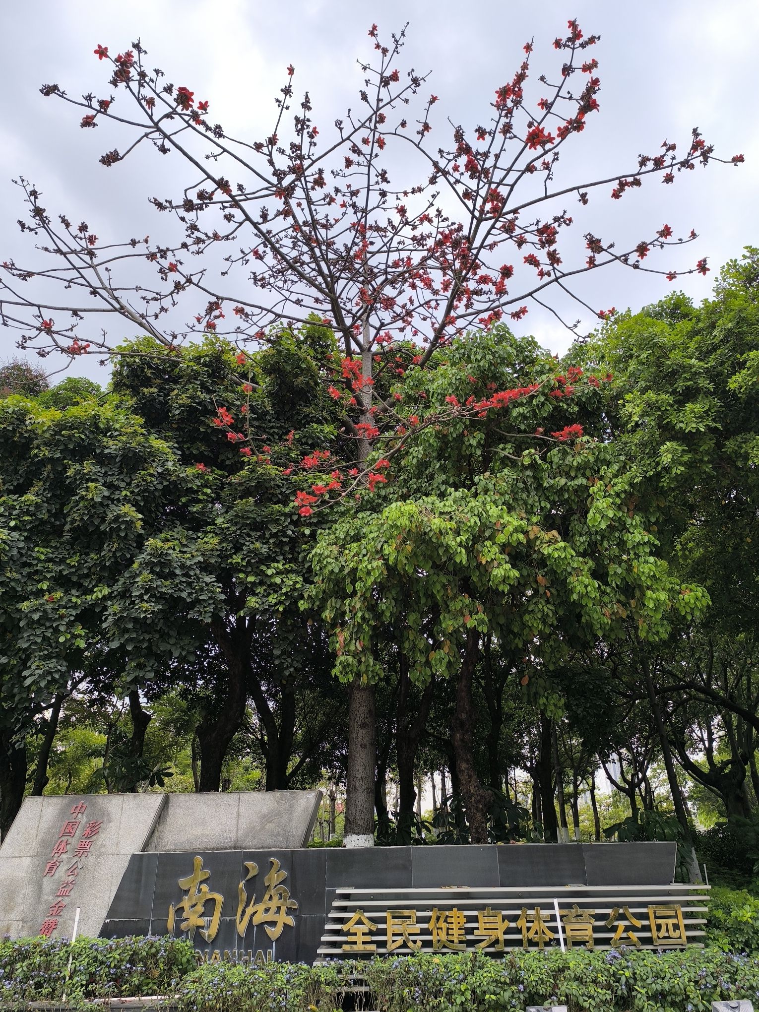 南海全民健身体育公园旅行图片 2
