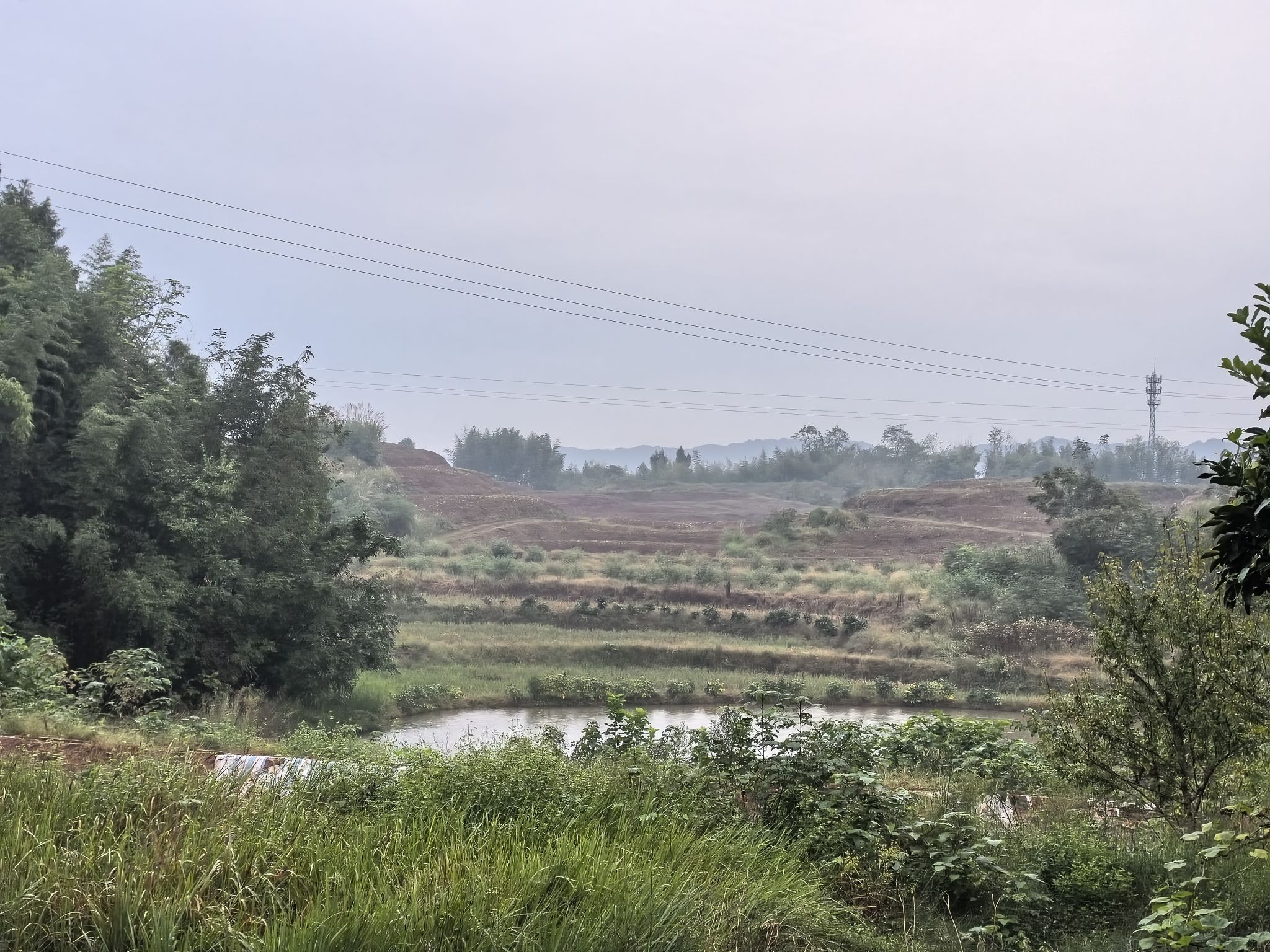 荷城公园旅行图片 1