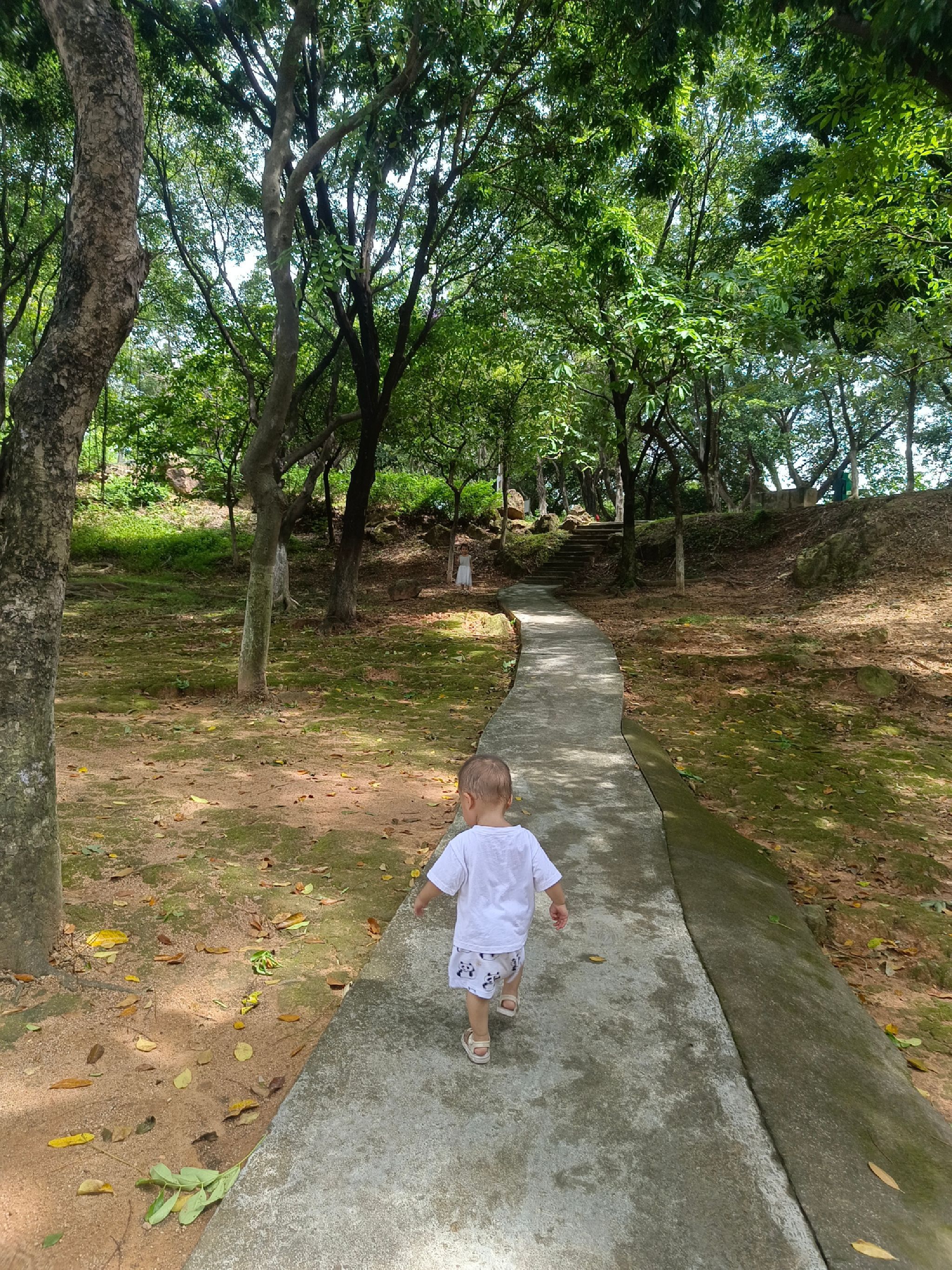 龙江人民公园旅行图片 2