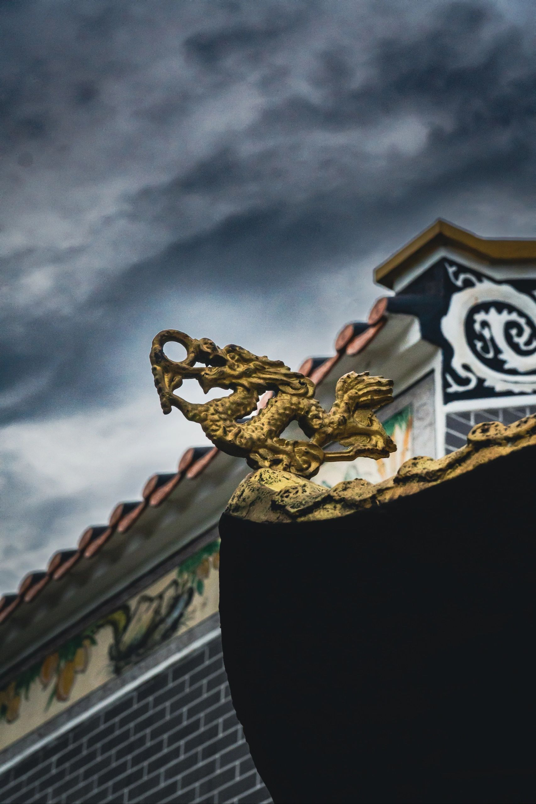 金紫公园旅行图片 3