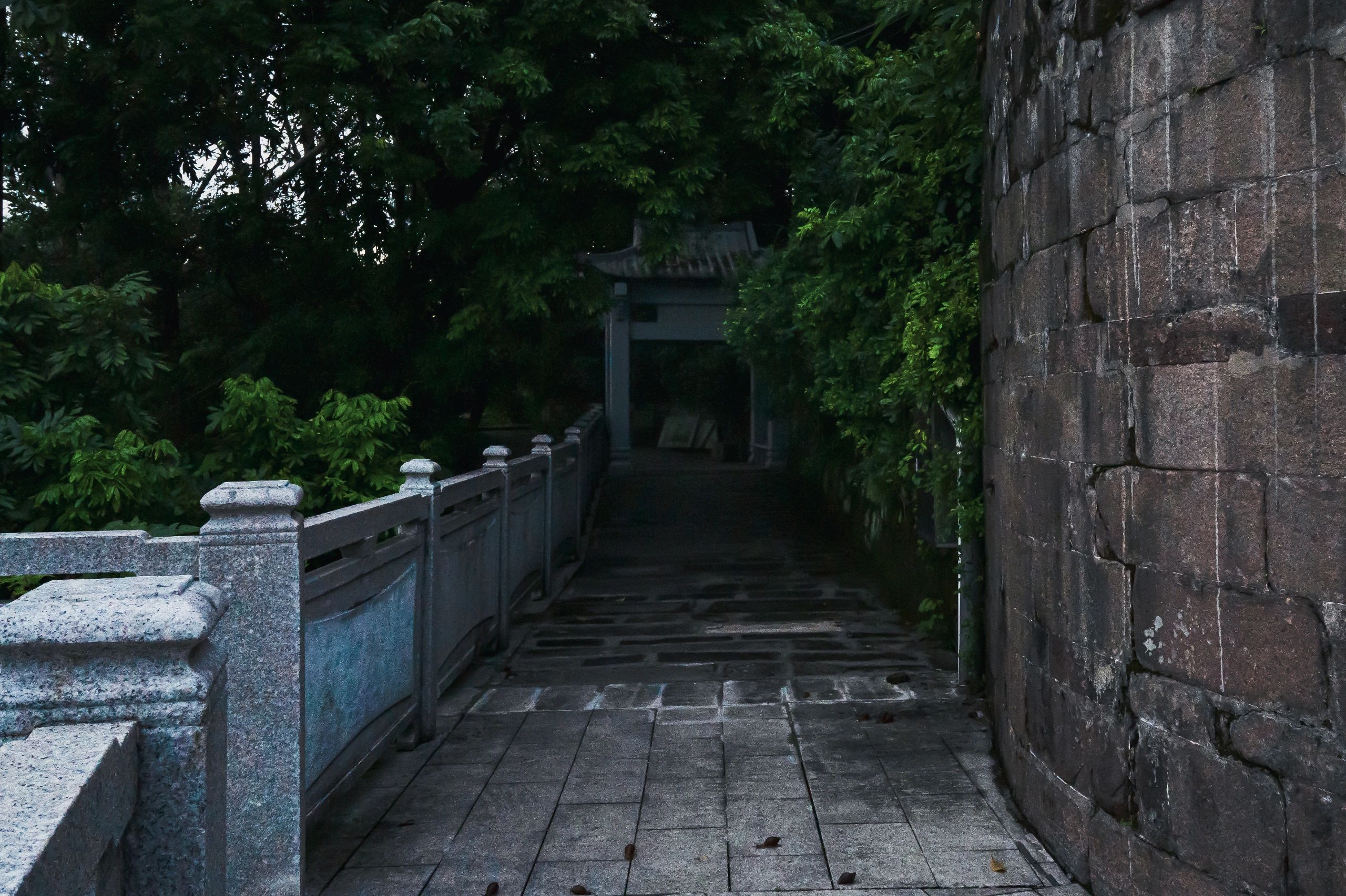 金紫公园旅行图片 2
