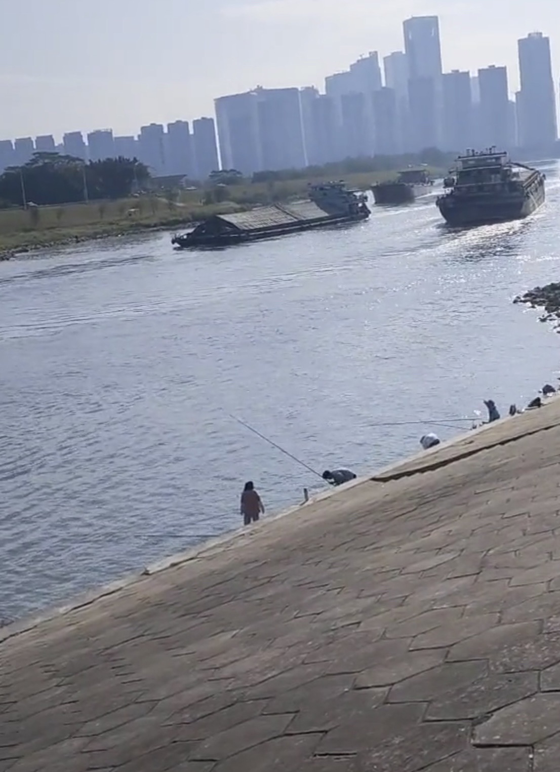 湾华公园旅行图片 2
