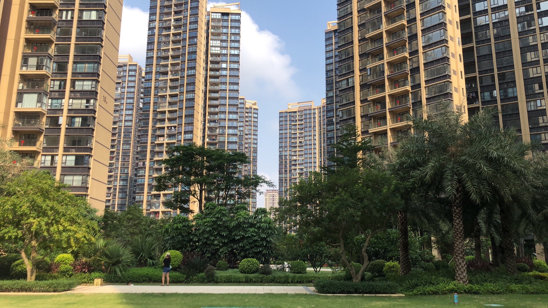 大步公园旅行图片 2
