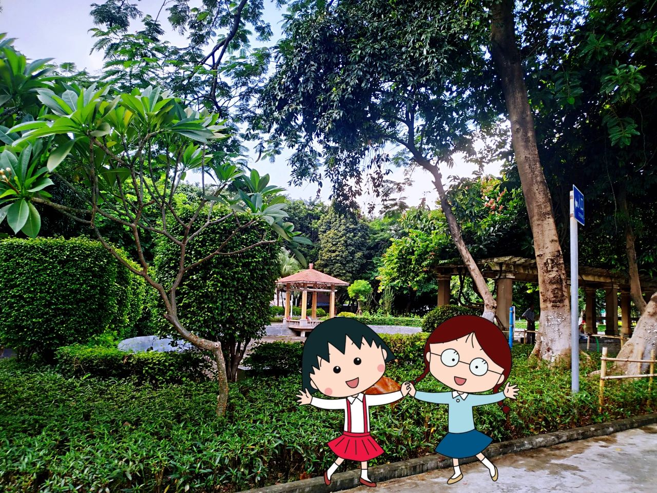 盐步公园旅行图片 3