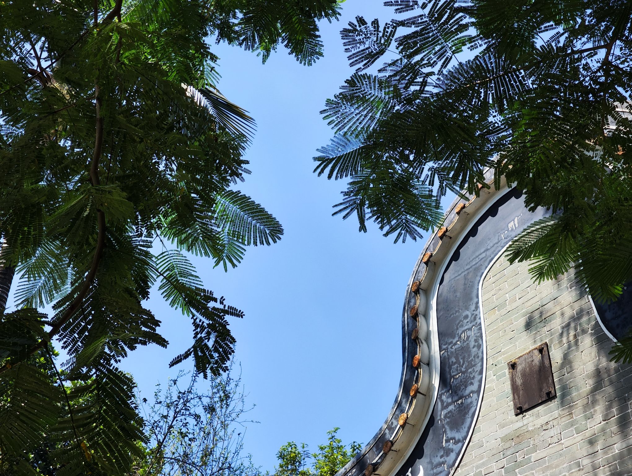 碧江金楼旅行图片 3