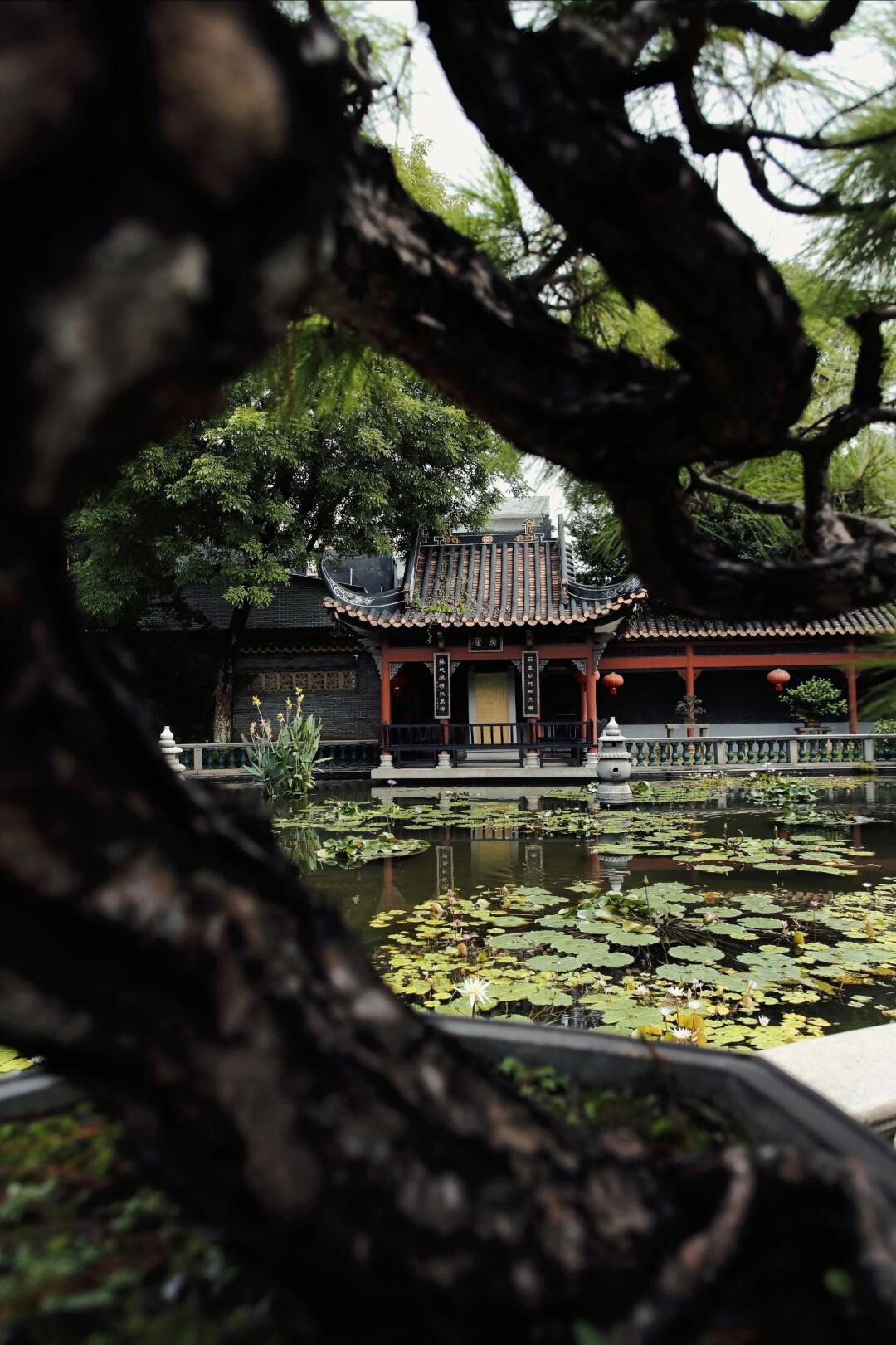 碧江金楼旅行图片 2