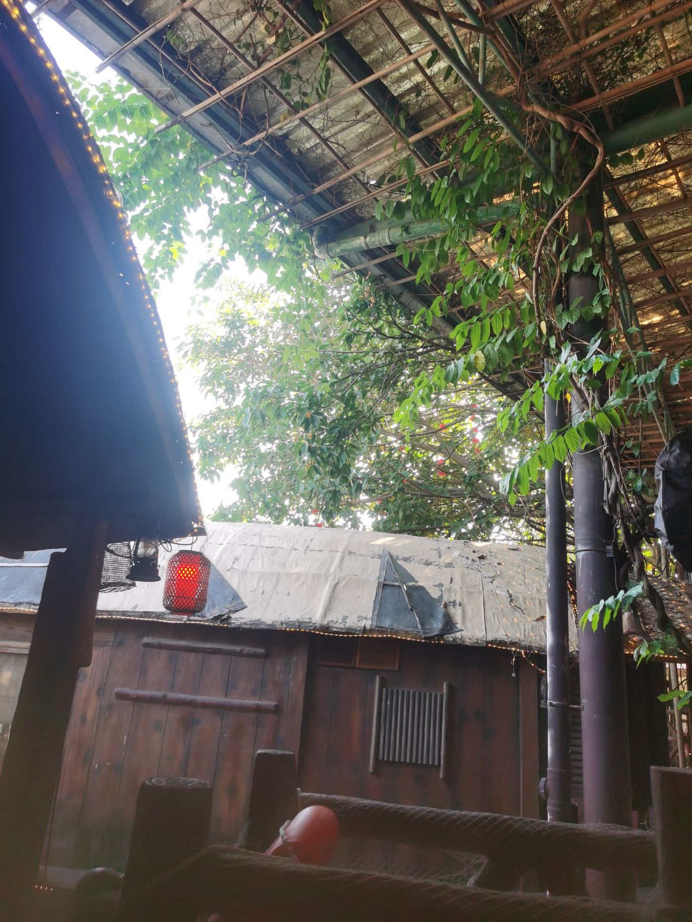 长鹿旅游休博园旅行图片 1
