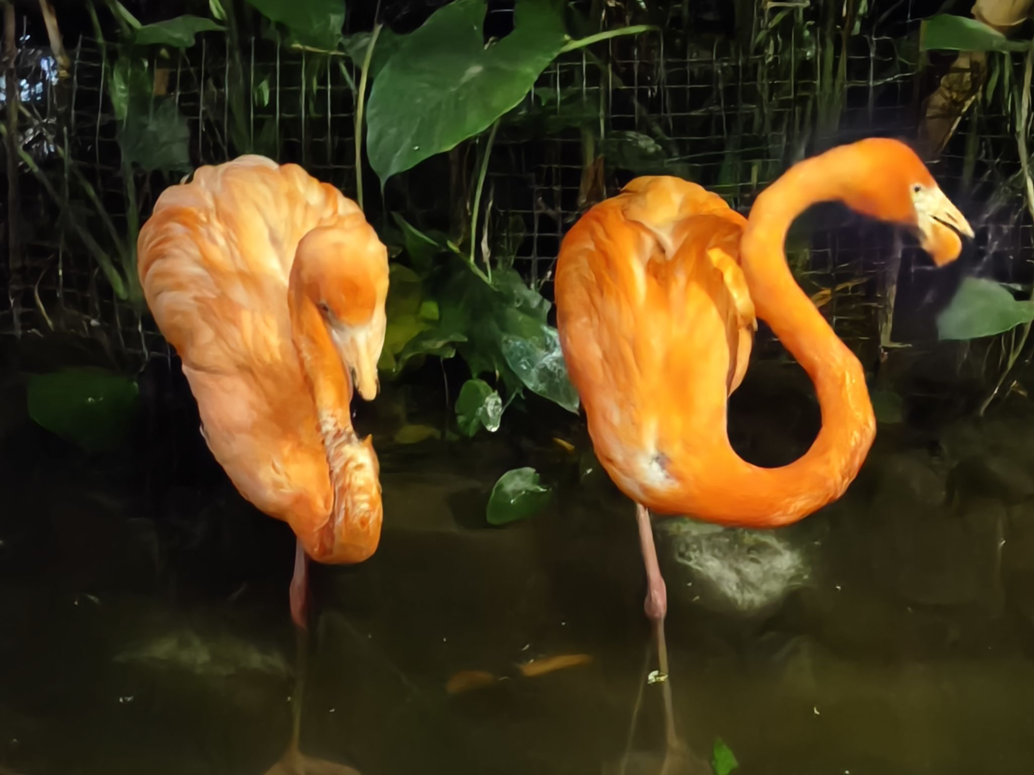 长鹿旅游休博园旅行图片 1