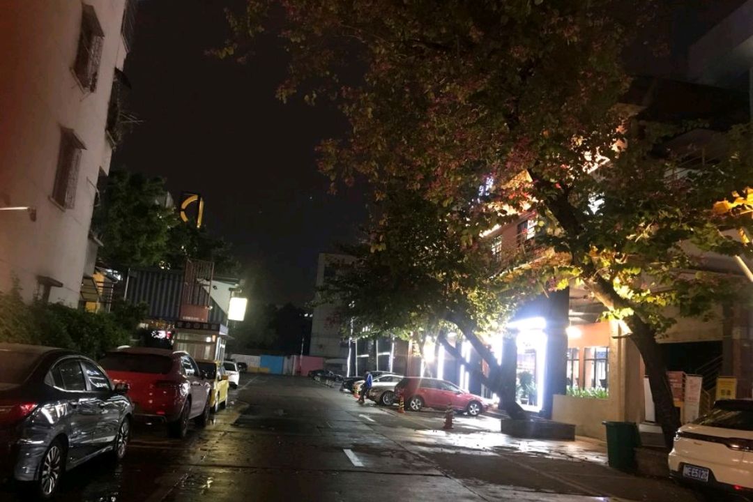 大沥公园旅行图片 2