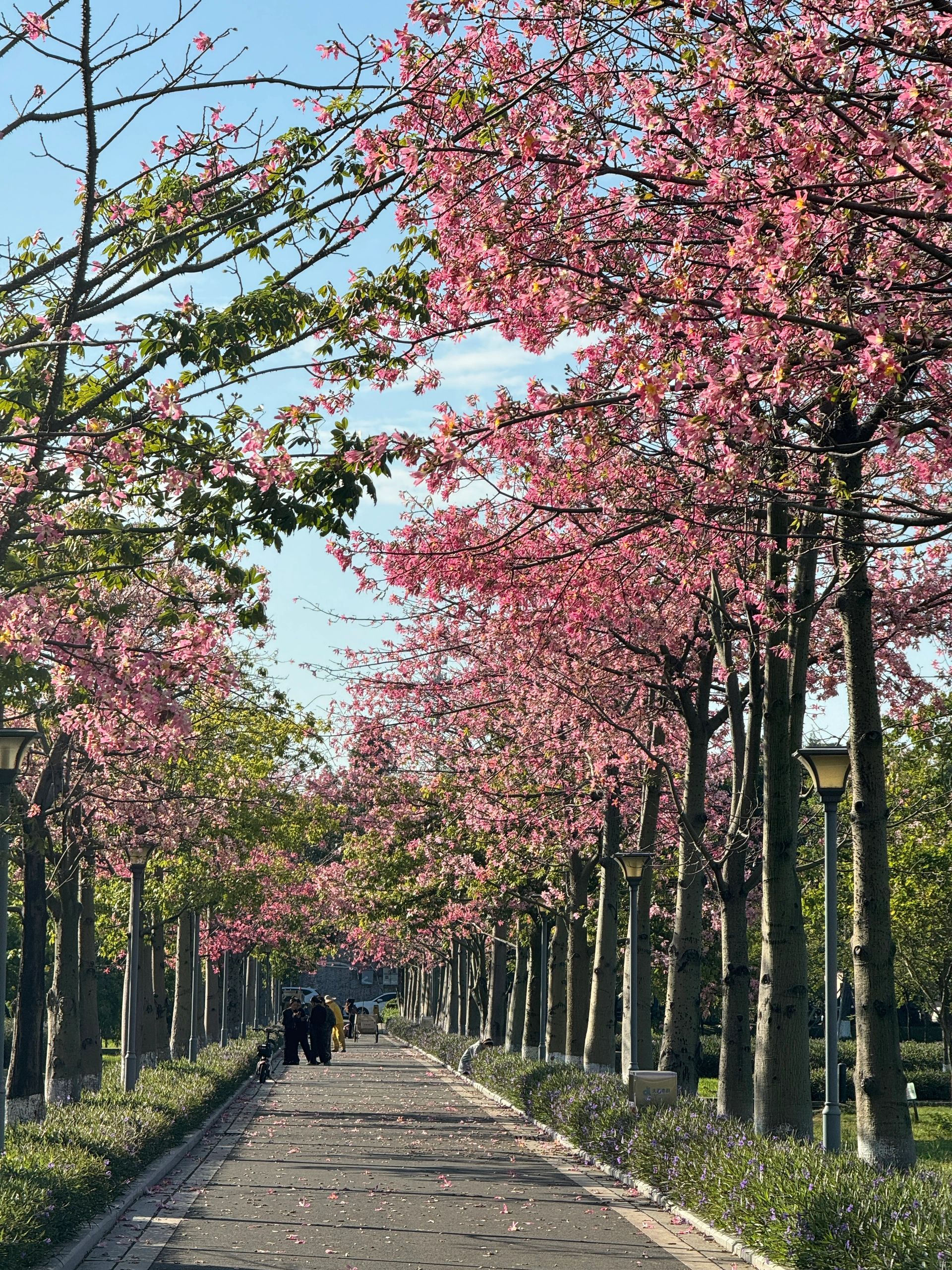 大沥公园旅行图片 1