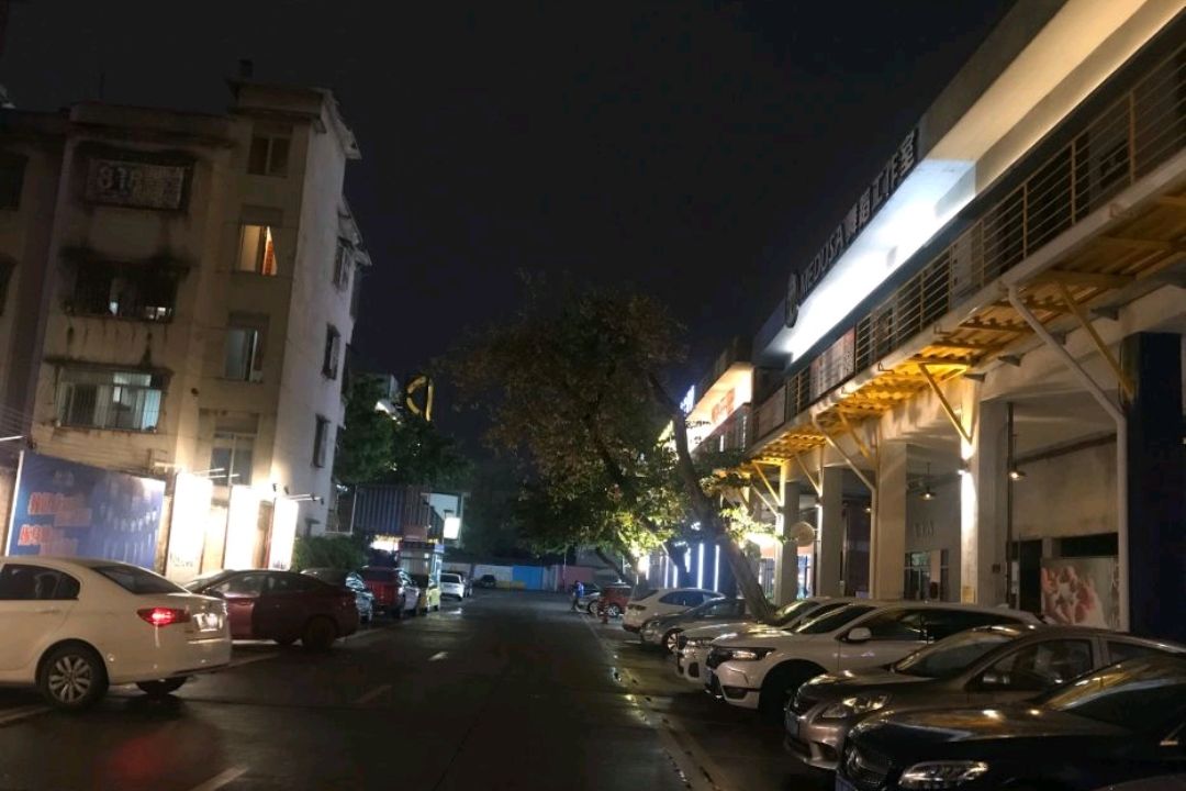 大沥公园旅行图片 1