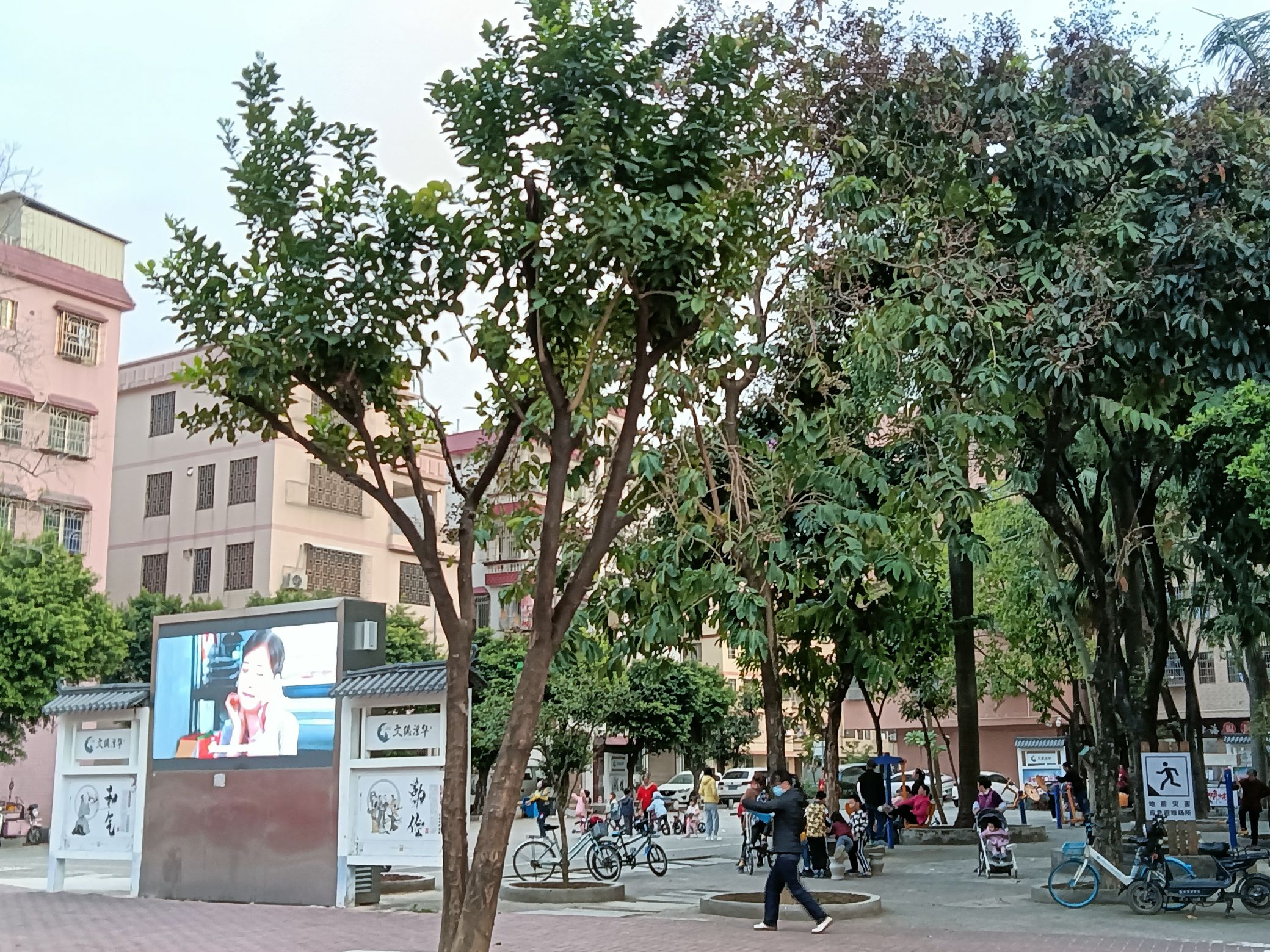西华公园旅行图片 3