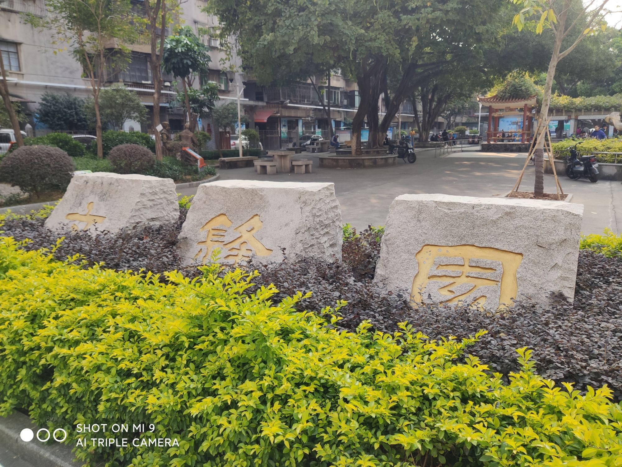 文锋园旅行图片 1