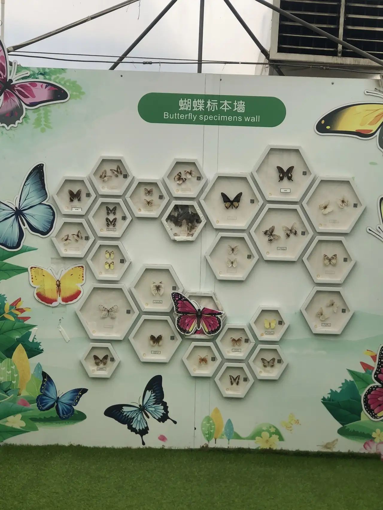 盈香心动乐园旅行图片 2