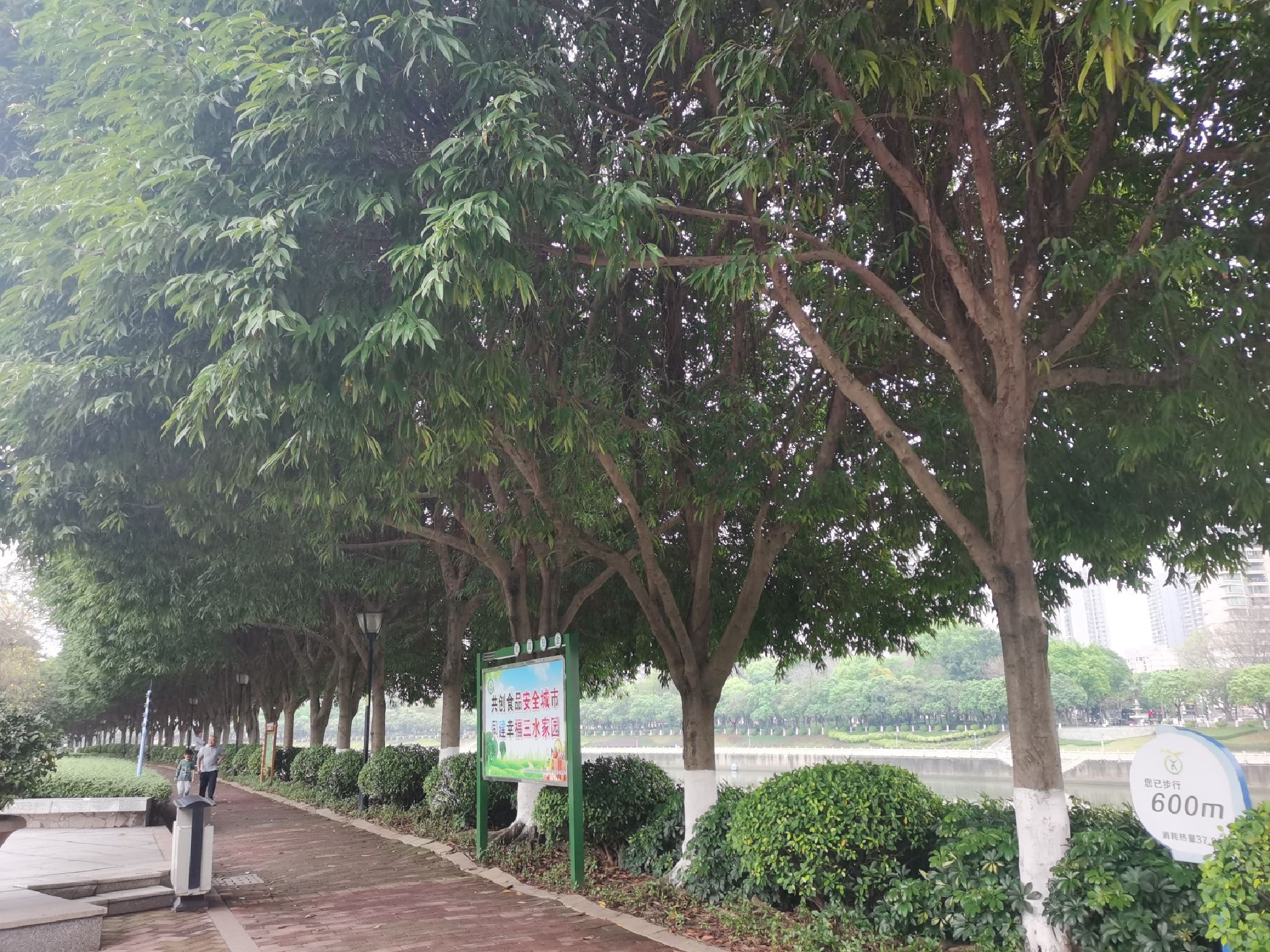左岸公园旅行图片 2