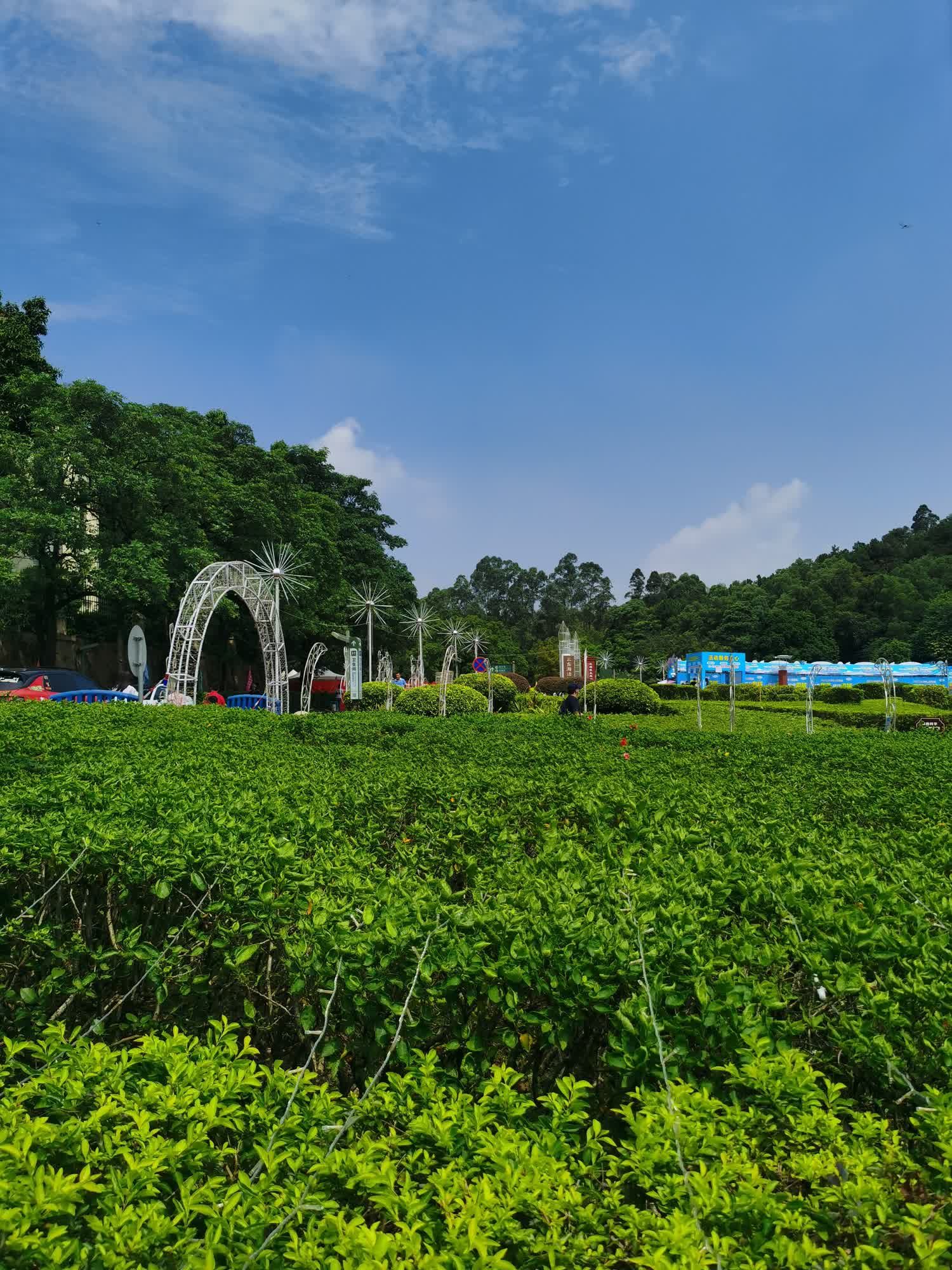 三水森林公园旅行图片 2