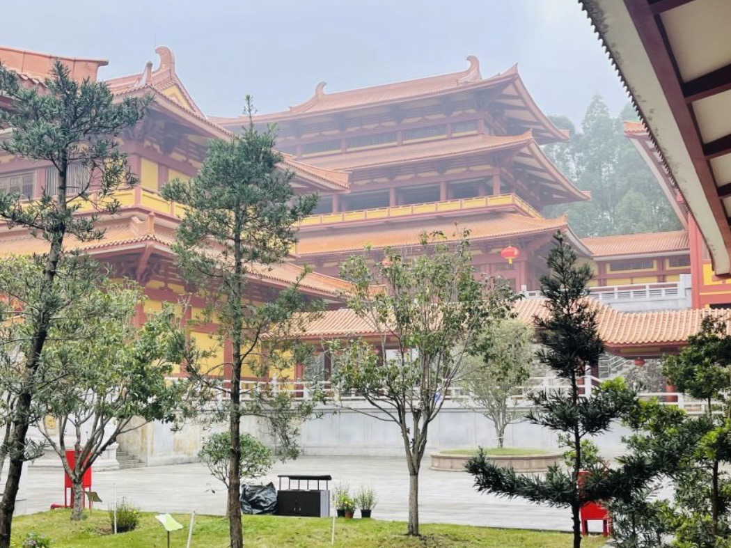三水森林公园旅行图片 3