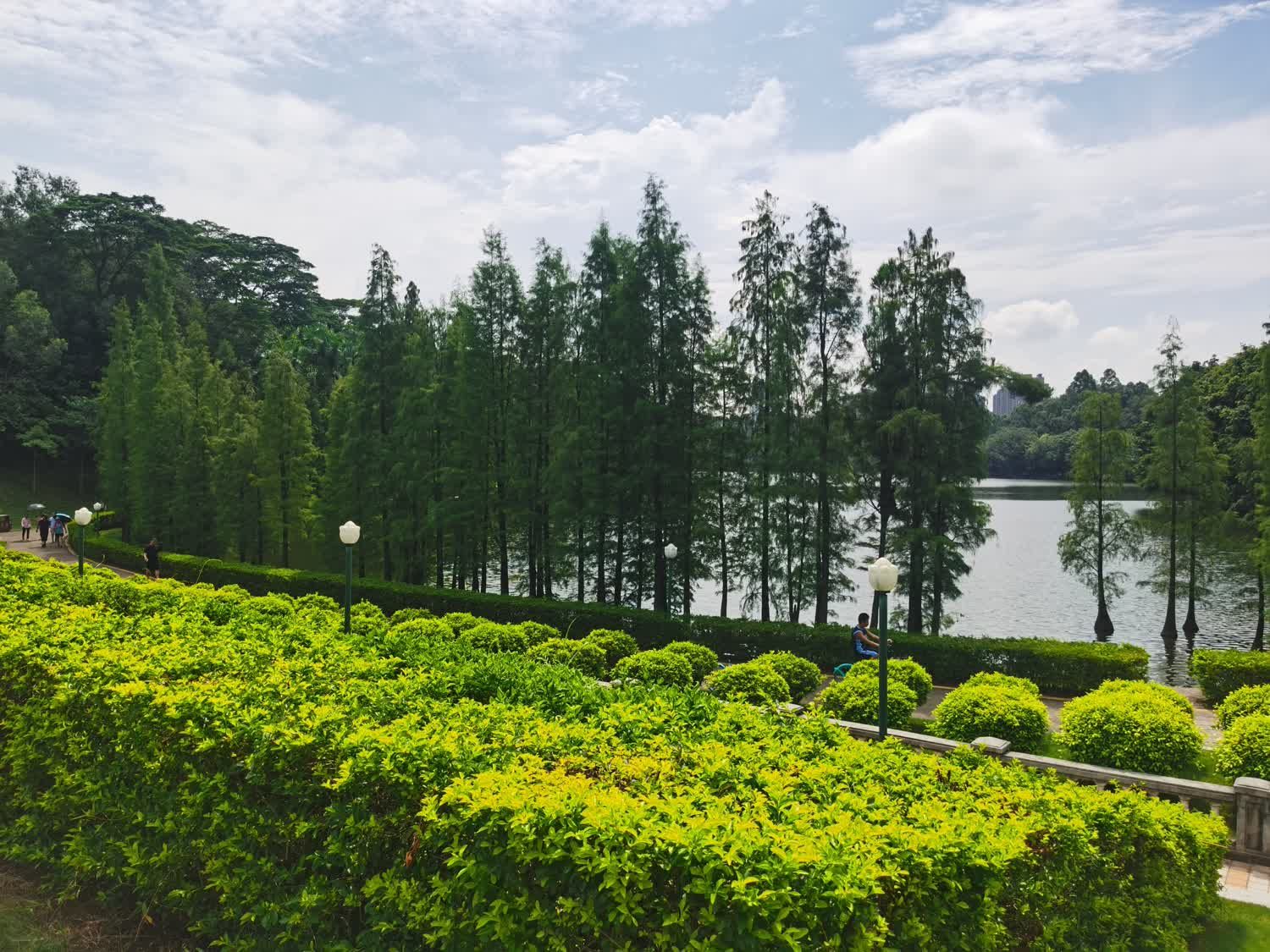 三水森林公园旅行图片 3