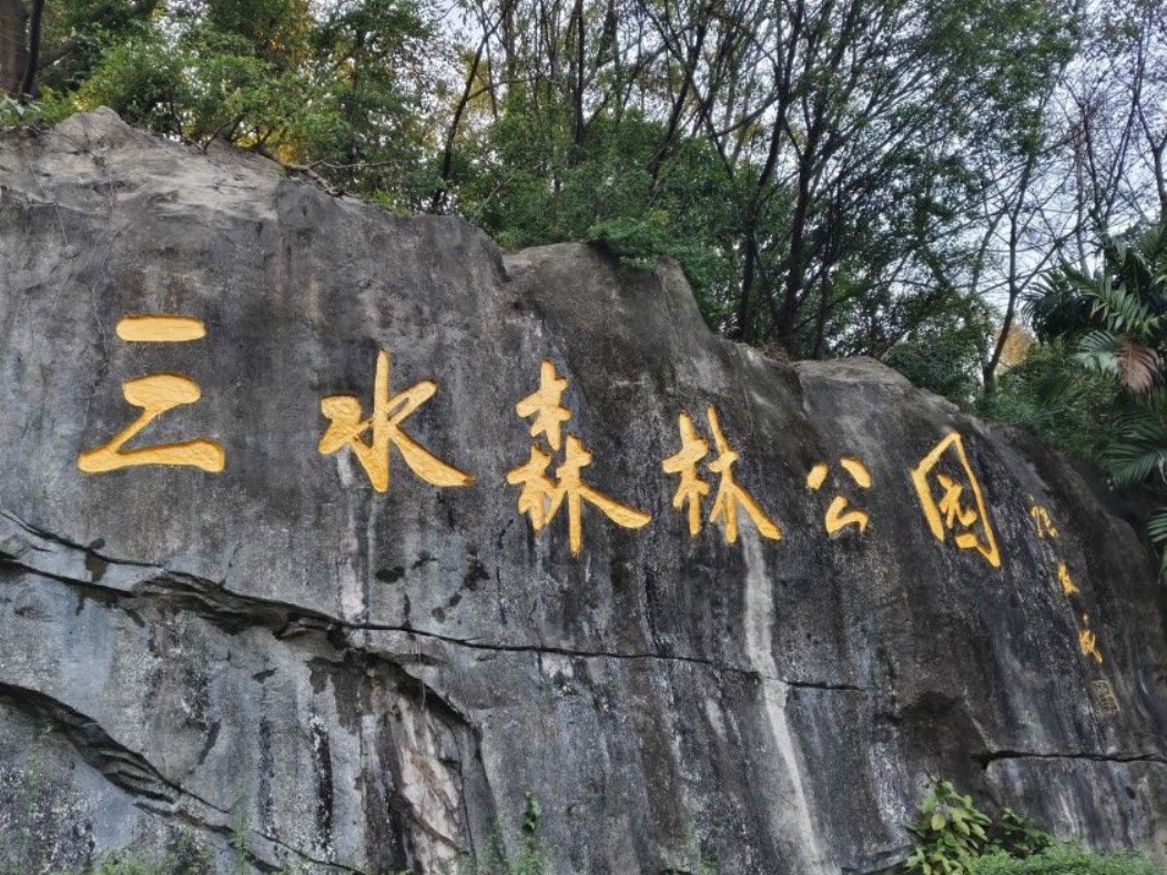 三水森林公园旅行图片 1