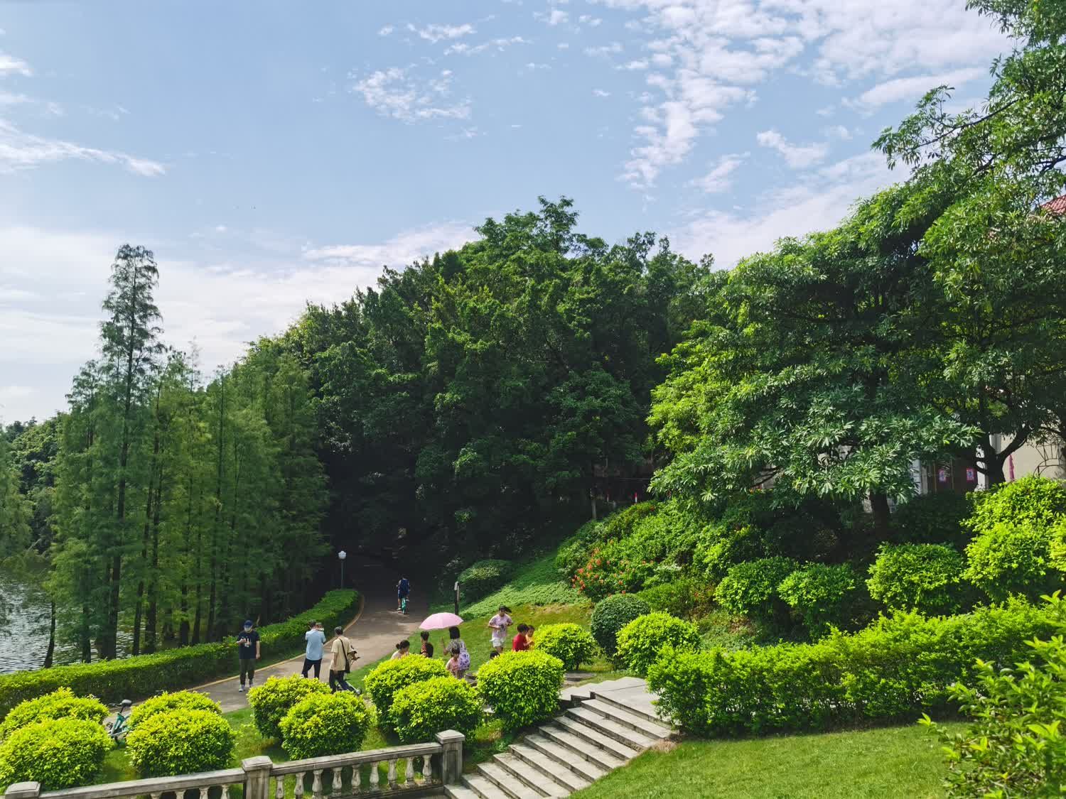三水森林公园旅行图片 1