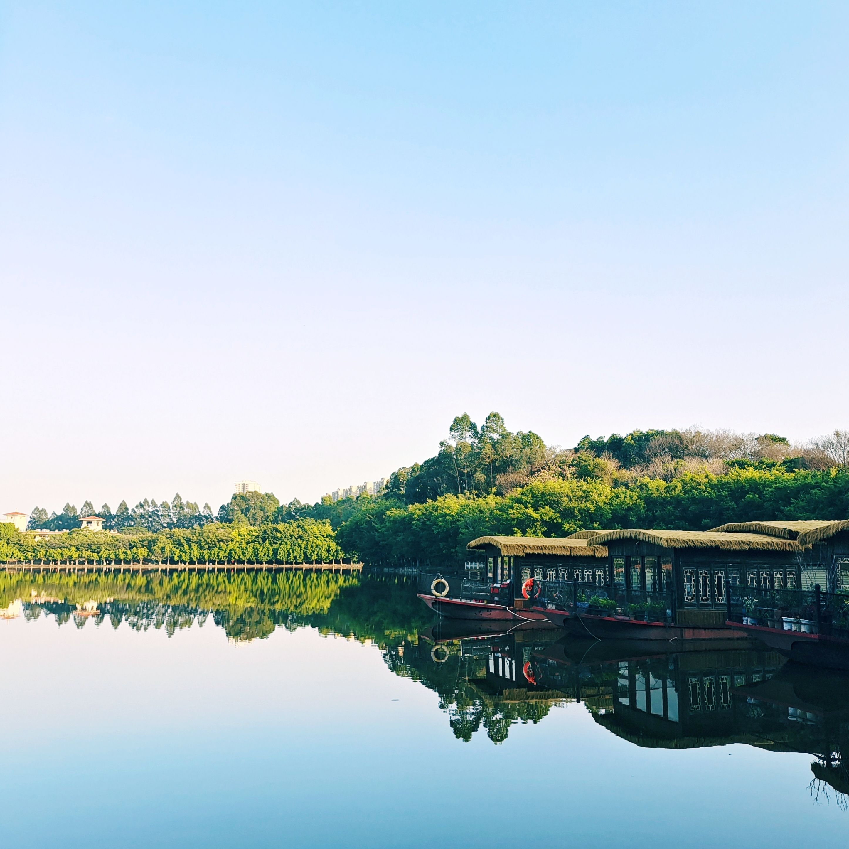 三水森林公园旅行图片 3