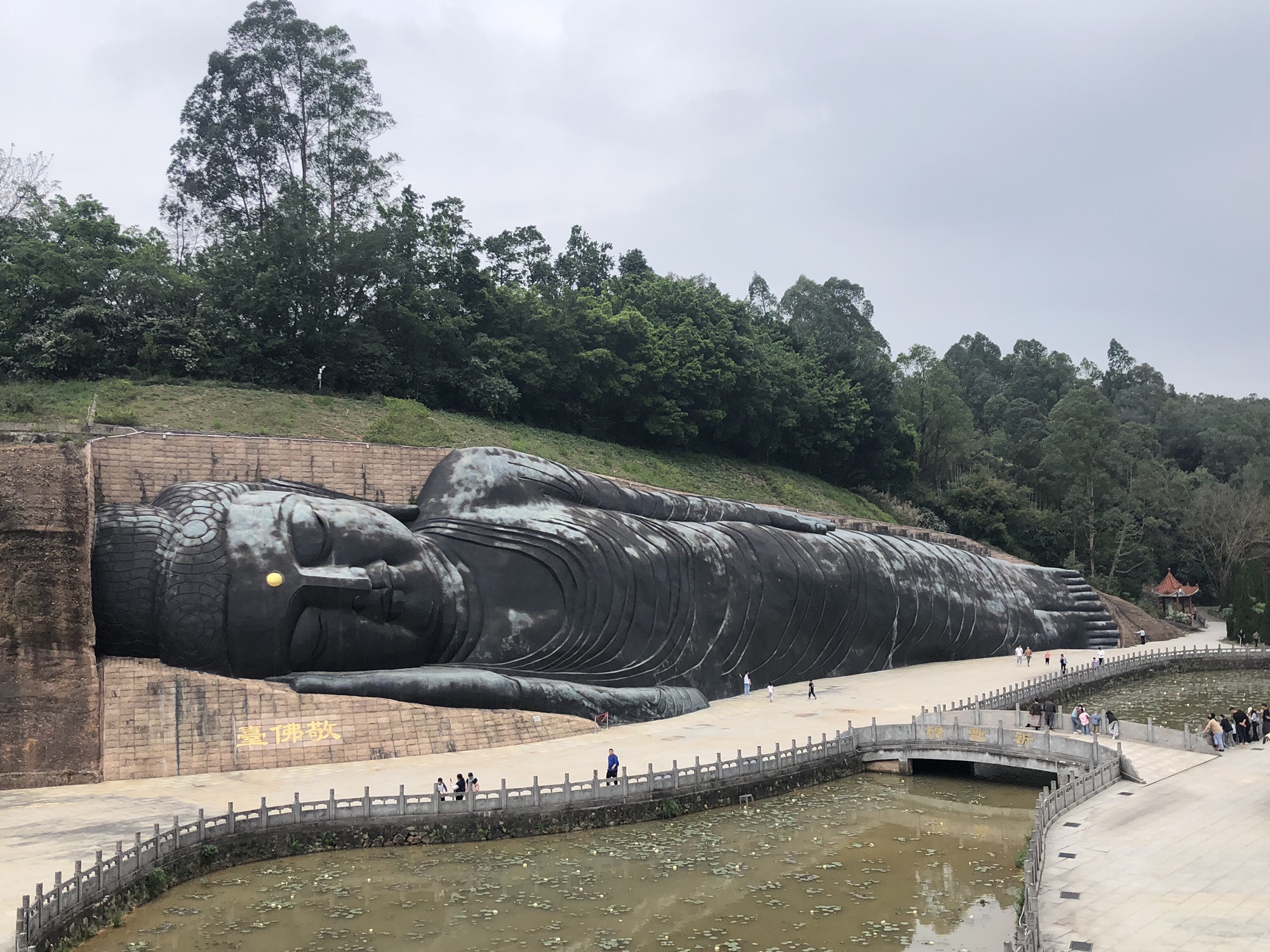 三水森林公园旅行图片 1