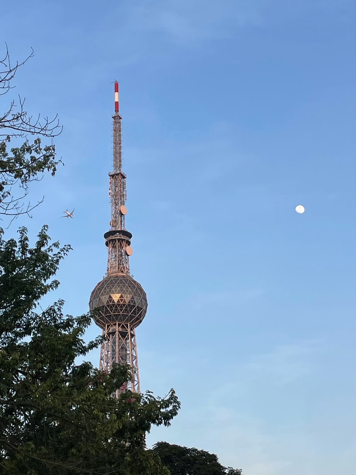 文华公园旅行图片 3