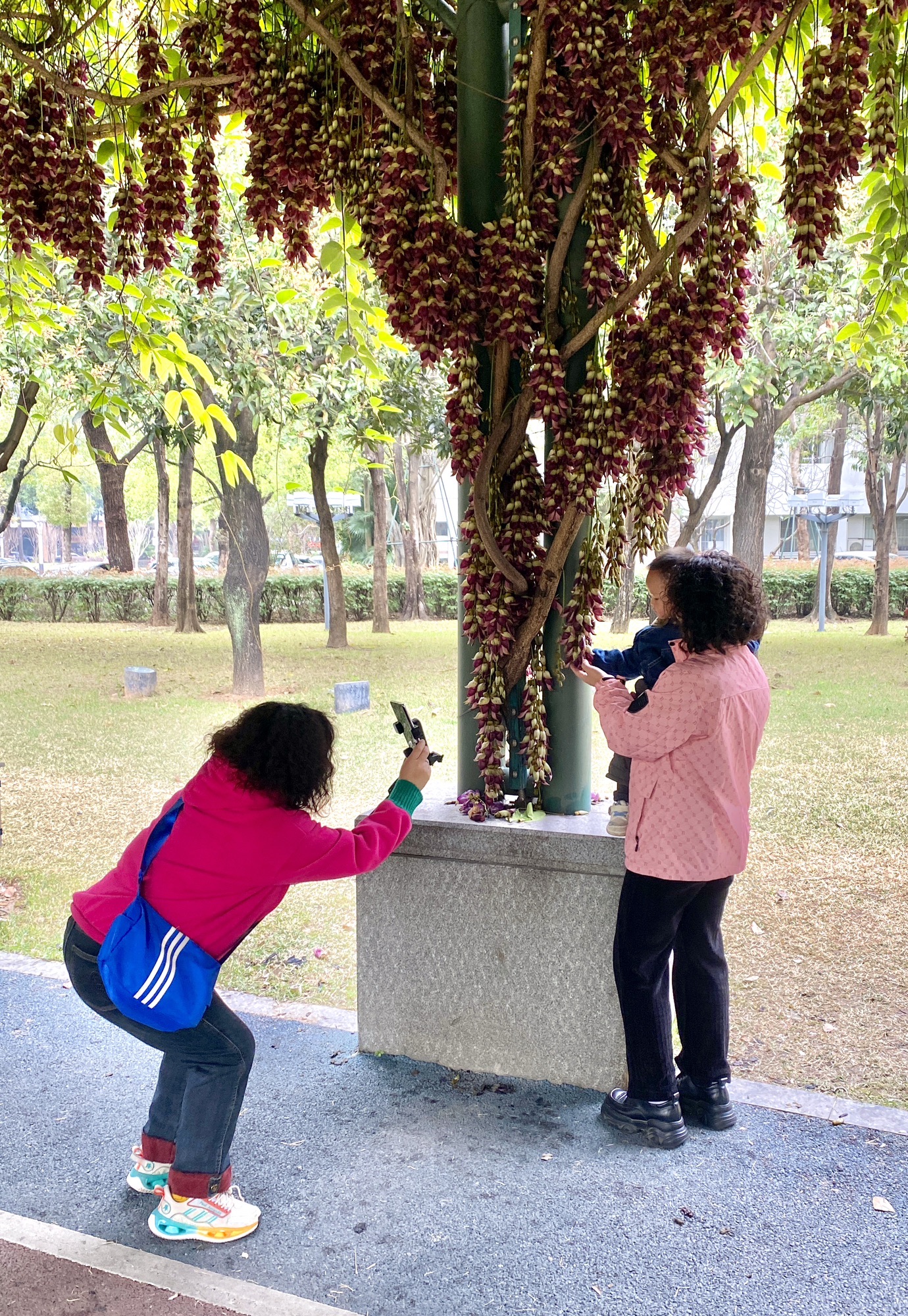 文华公园旅行图片 2