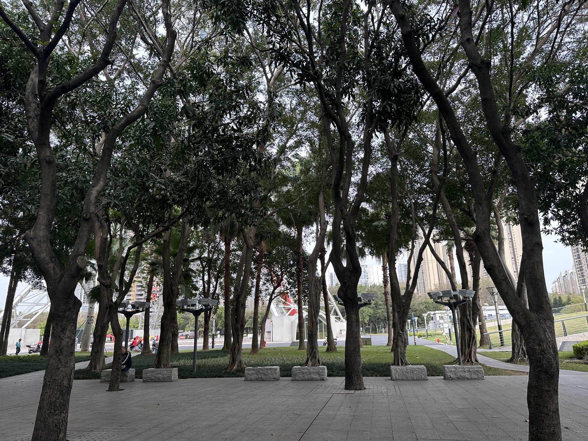 文华公园旅行图片 2