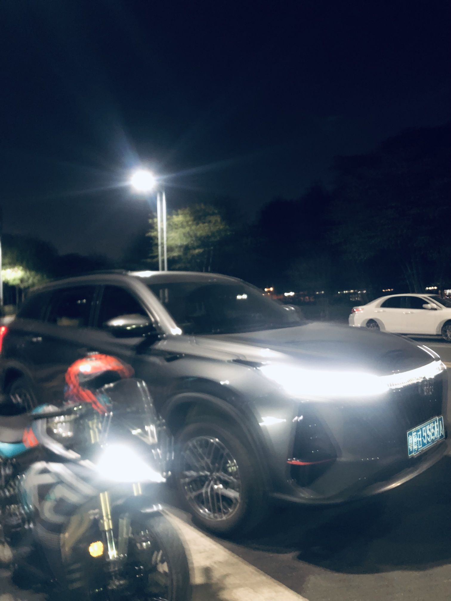 河村公园旅行图片 1