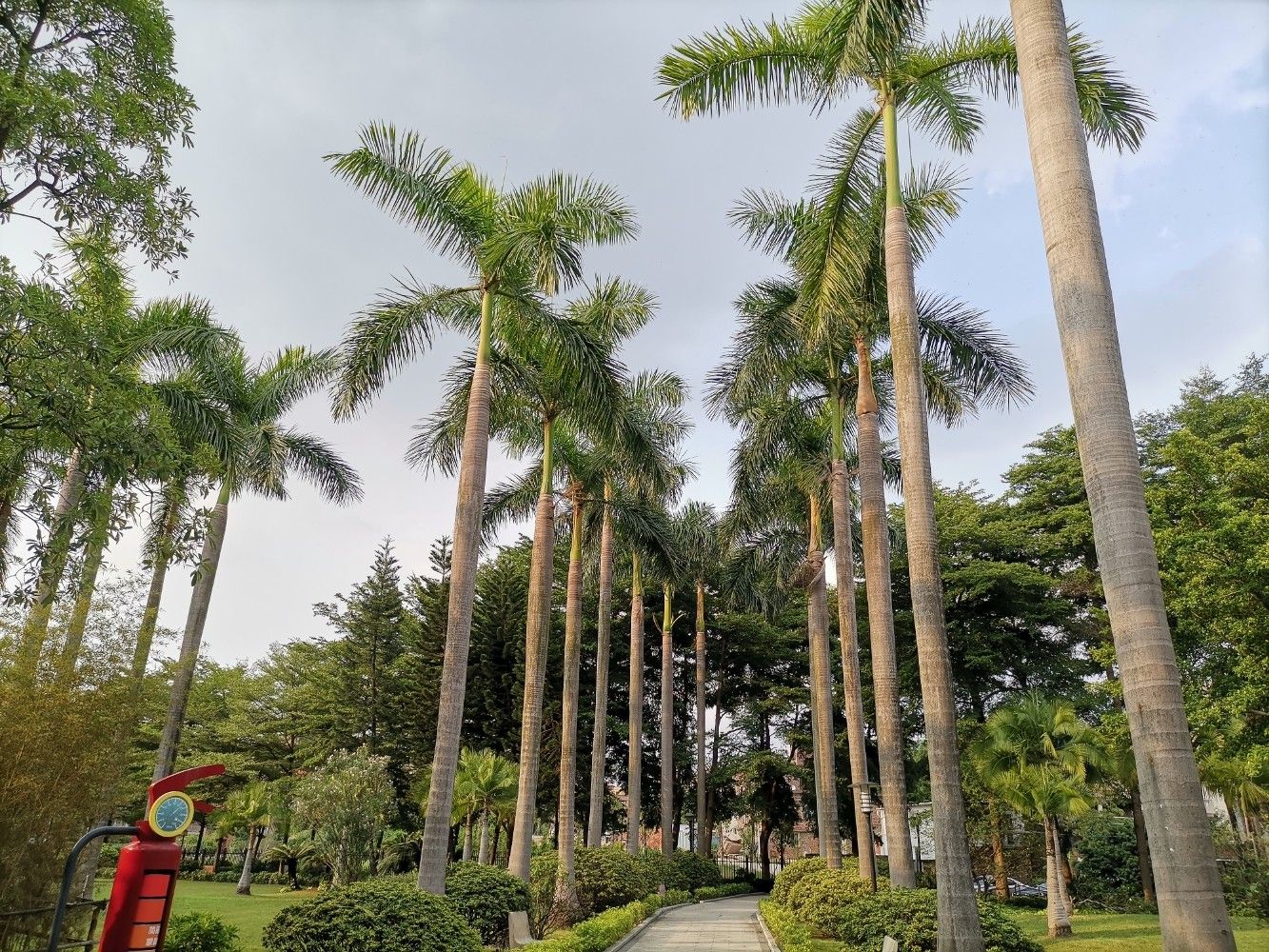 河村公园旅行图片 3