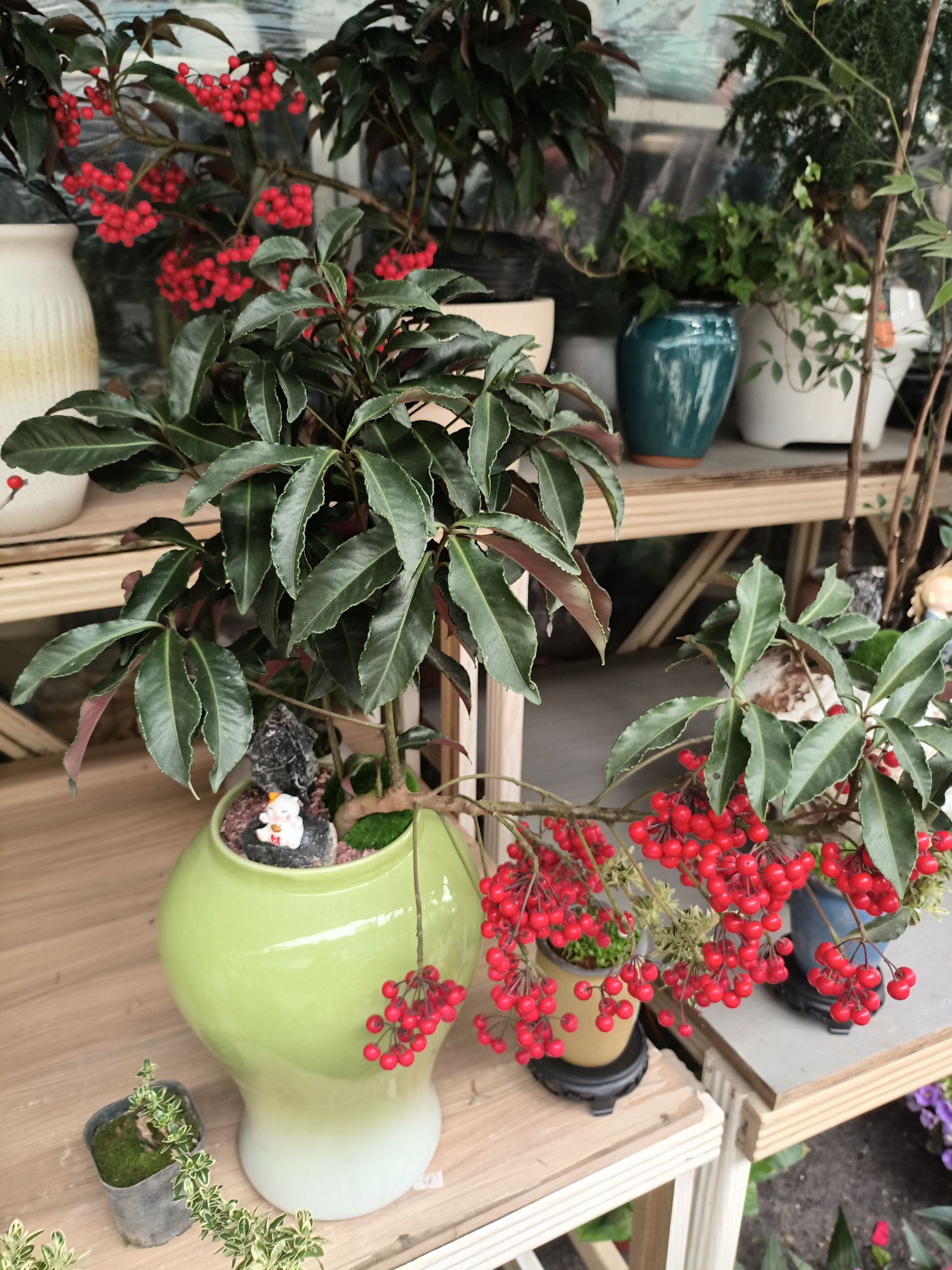 东二花卉鱼虫大世界(天佑六路店)
