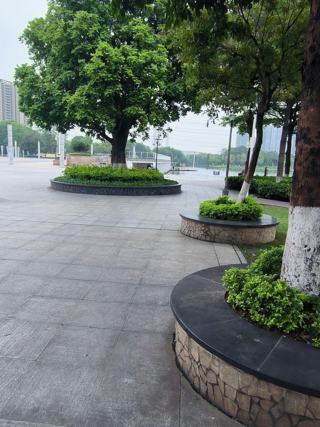 东湖公园旅行图片 3