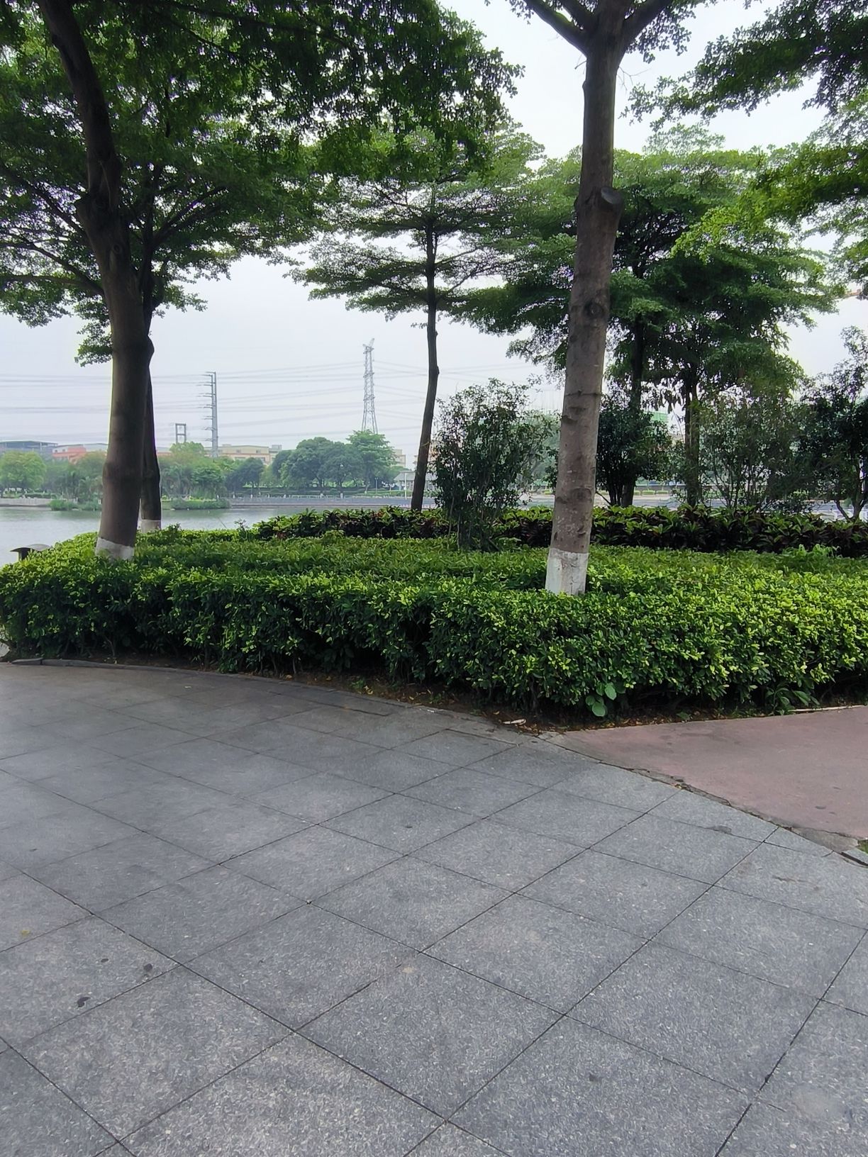 东湖公园旅行图片 2
