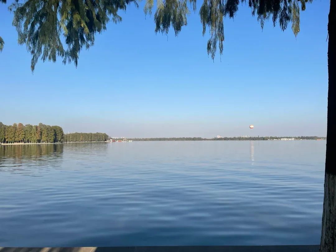 东湖公园旅行图片 2